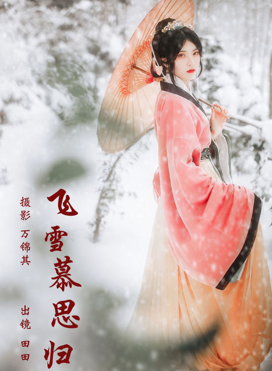 飞雪慕思归 冬天 古风 意境 雪景 女子