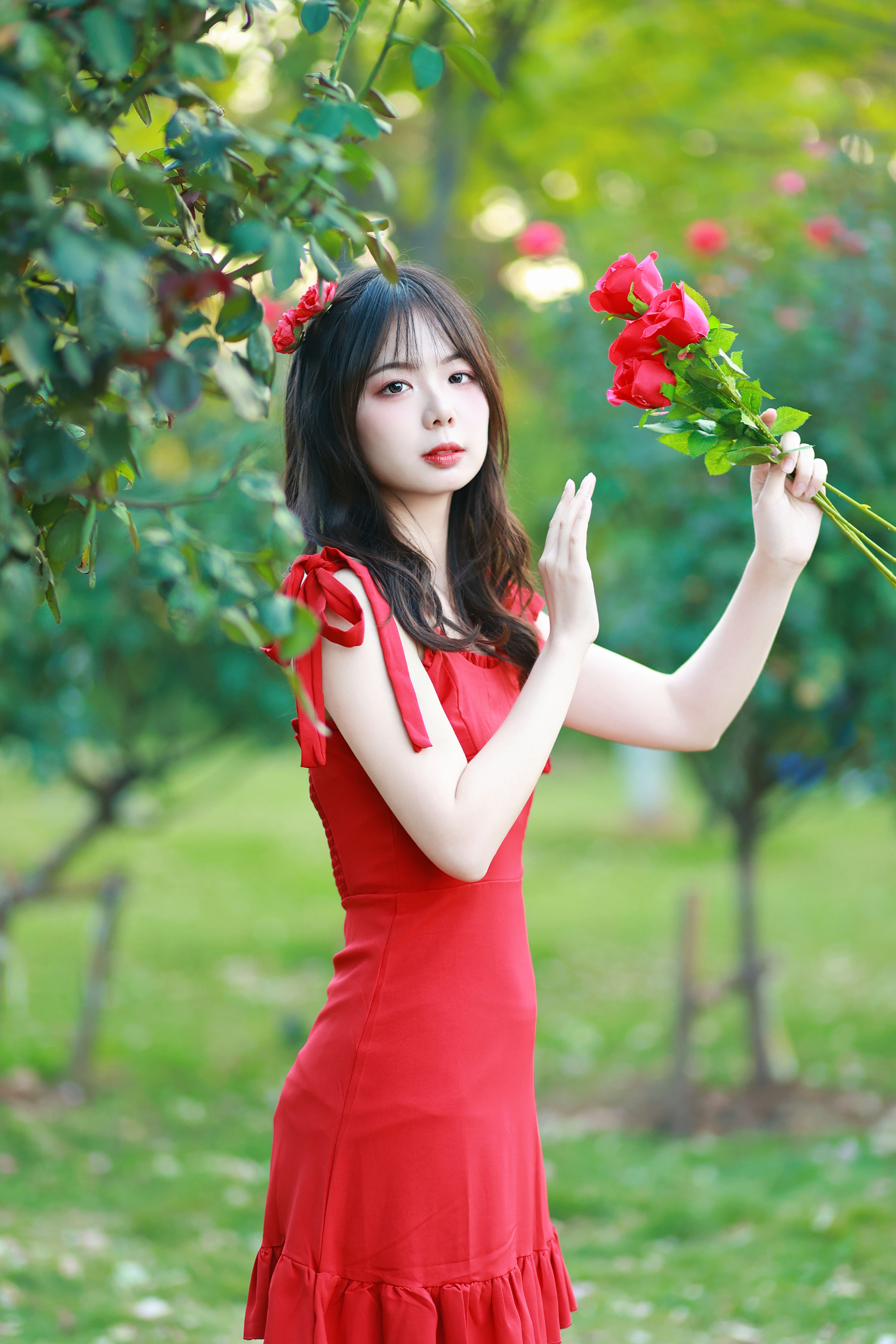 玫瑰园的少女 红色 少女 小清新 玫瑰花 写真