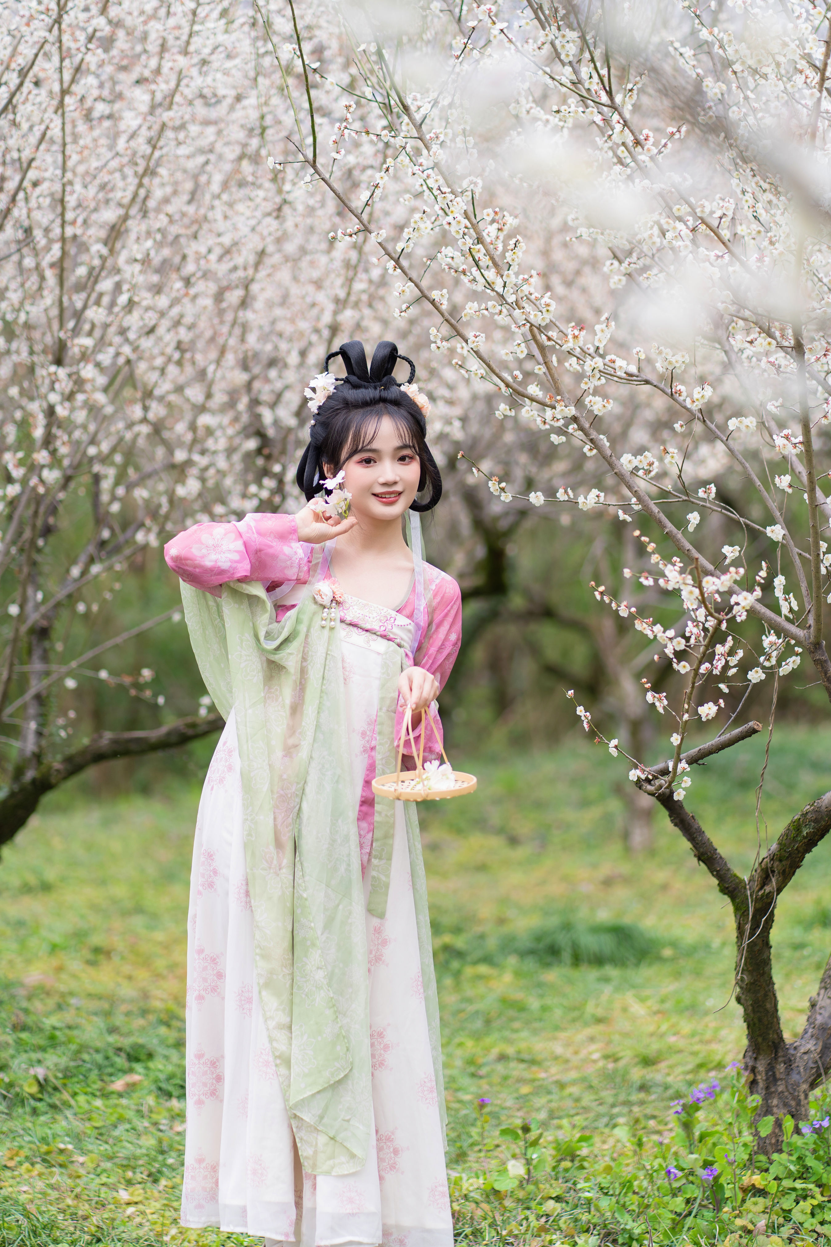 风有约 花不误 汉服 姑娘 可爱 梅花 花 少女