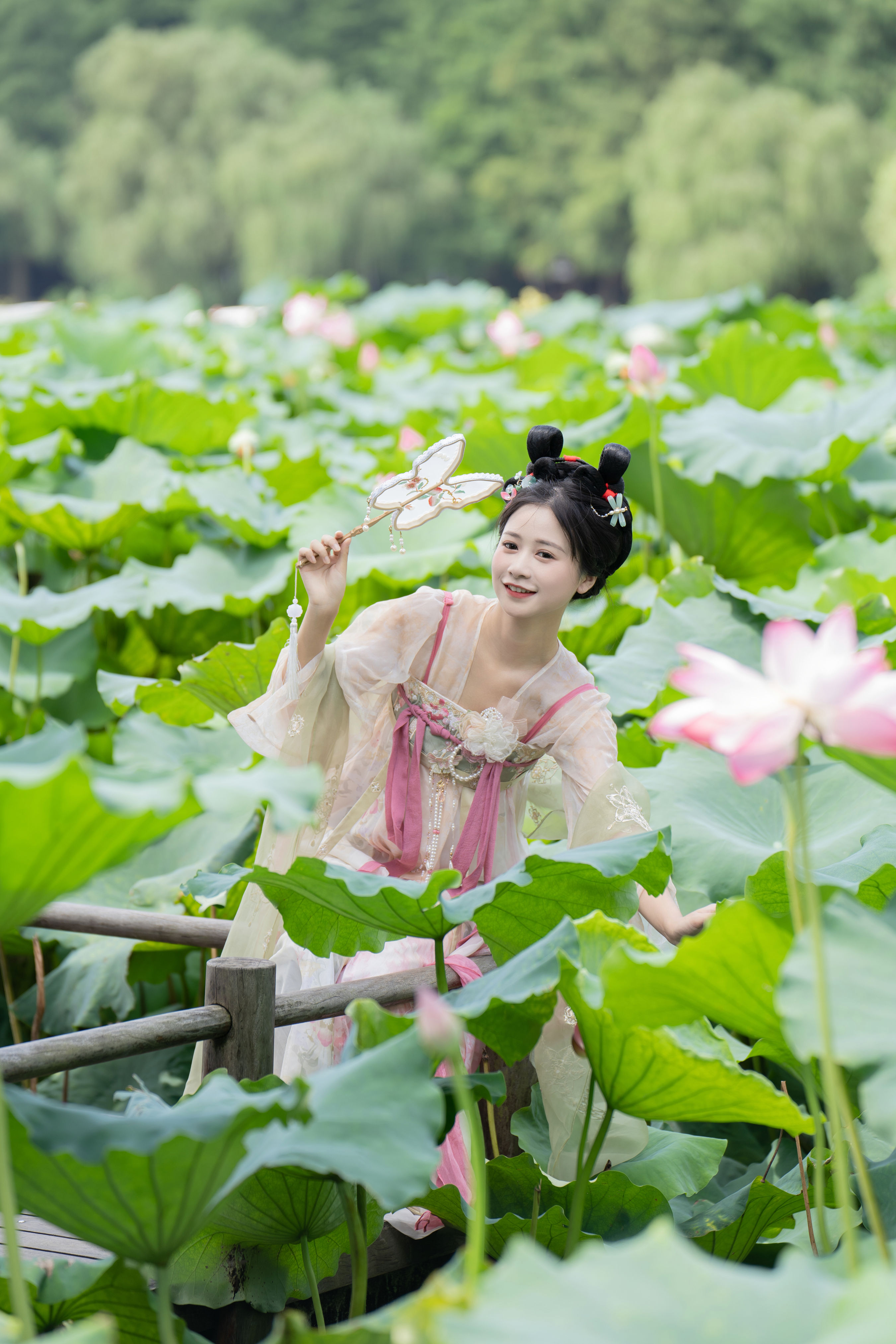 夏日限定荷花少女 荷花 汉服 少女 小清新 可爱