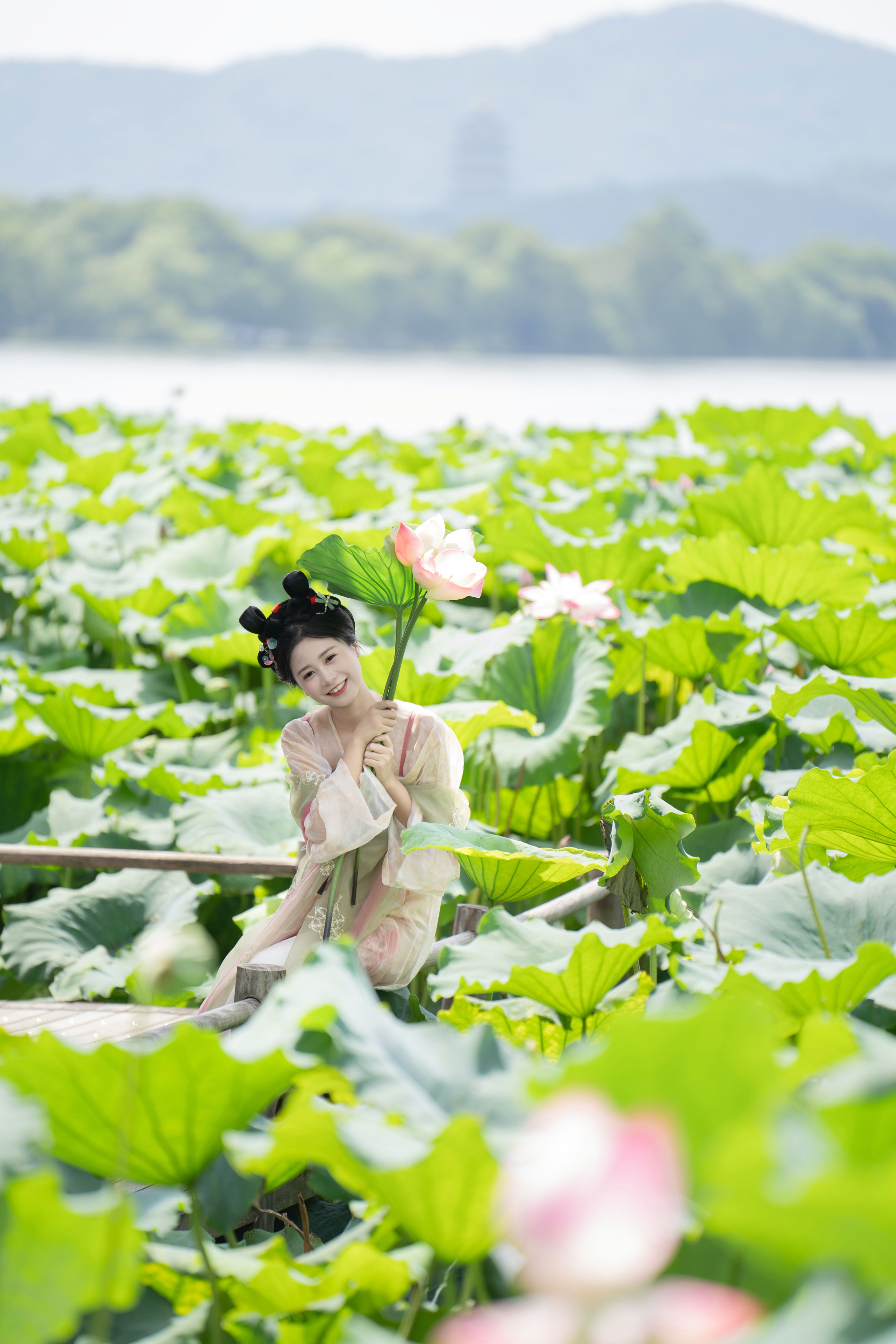 夏日限定荷花少女 荷花 汉服 少女 小清新 可爱