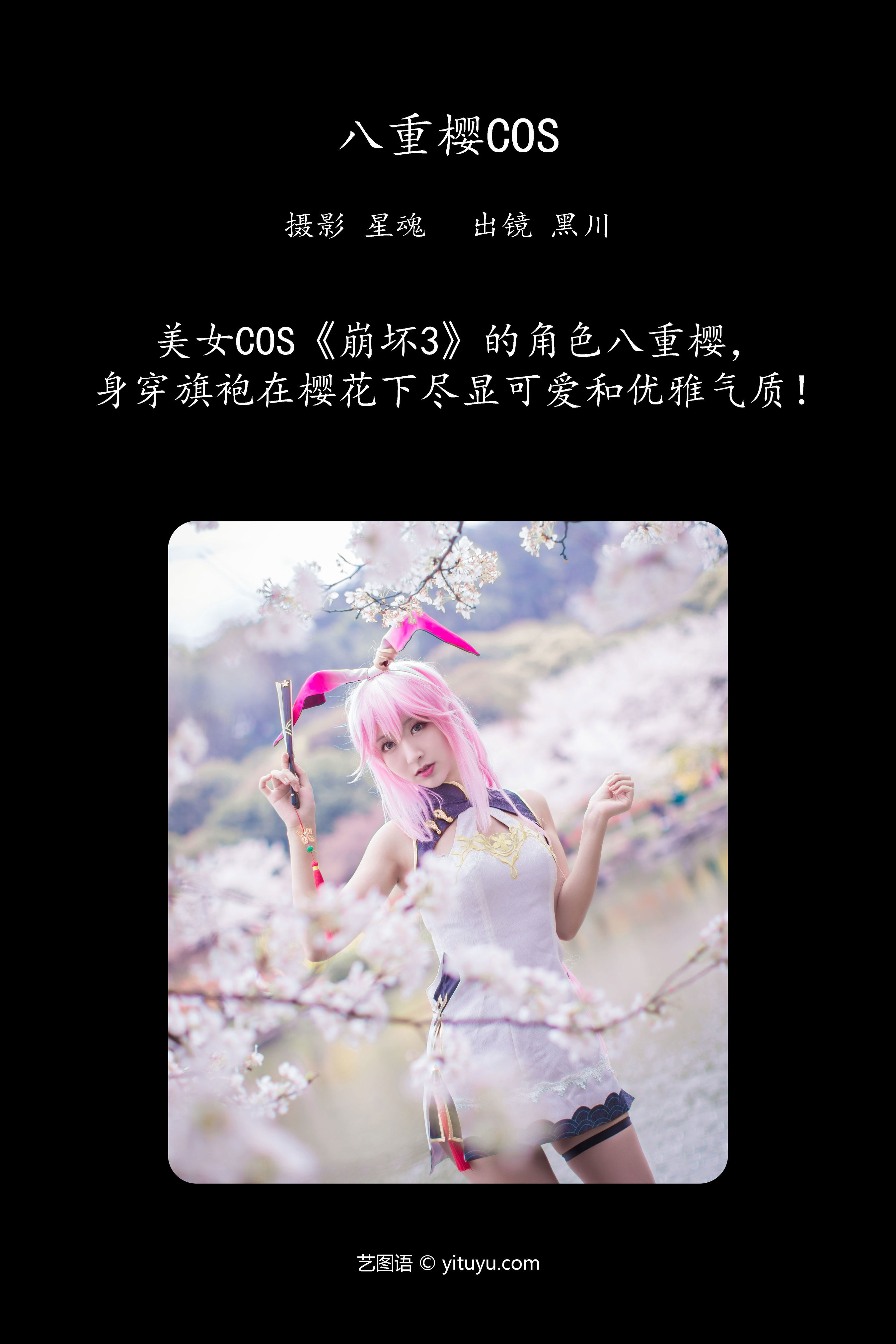 八重樱COS Cosplay 二次元 兔女郎 旗袍 性感