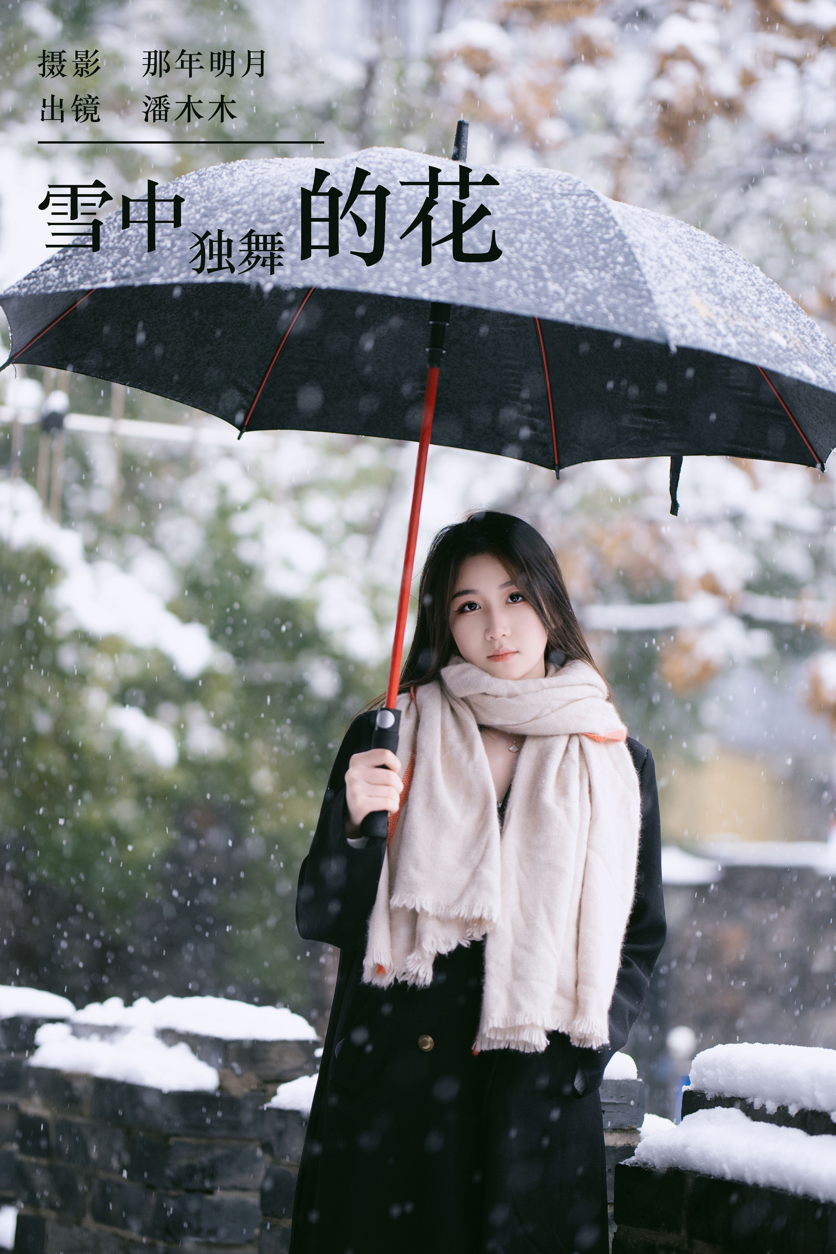 雪中独舞的花 雪景 冬天 小姐姐 美女 精美