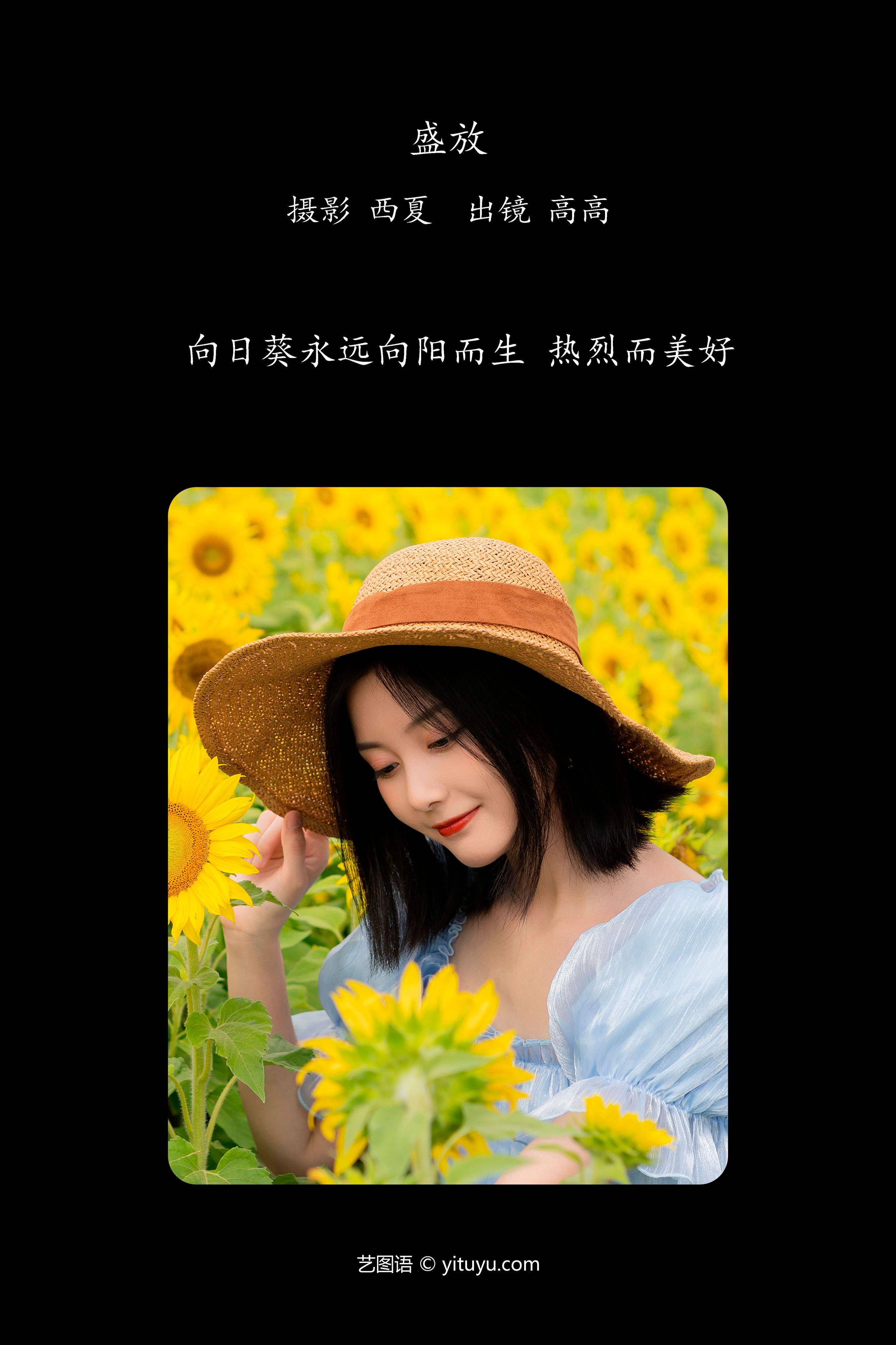 盛放 美好 向日葵 少女 文艺 美丽 人像