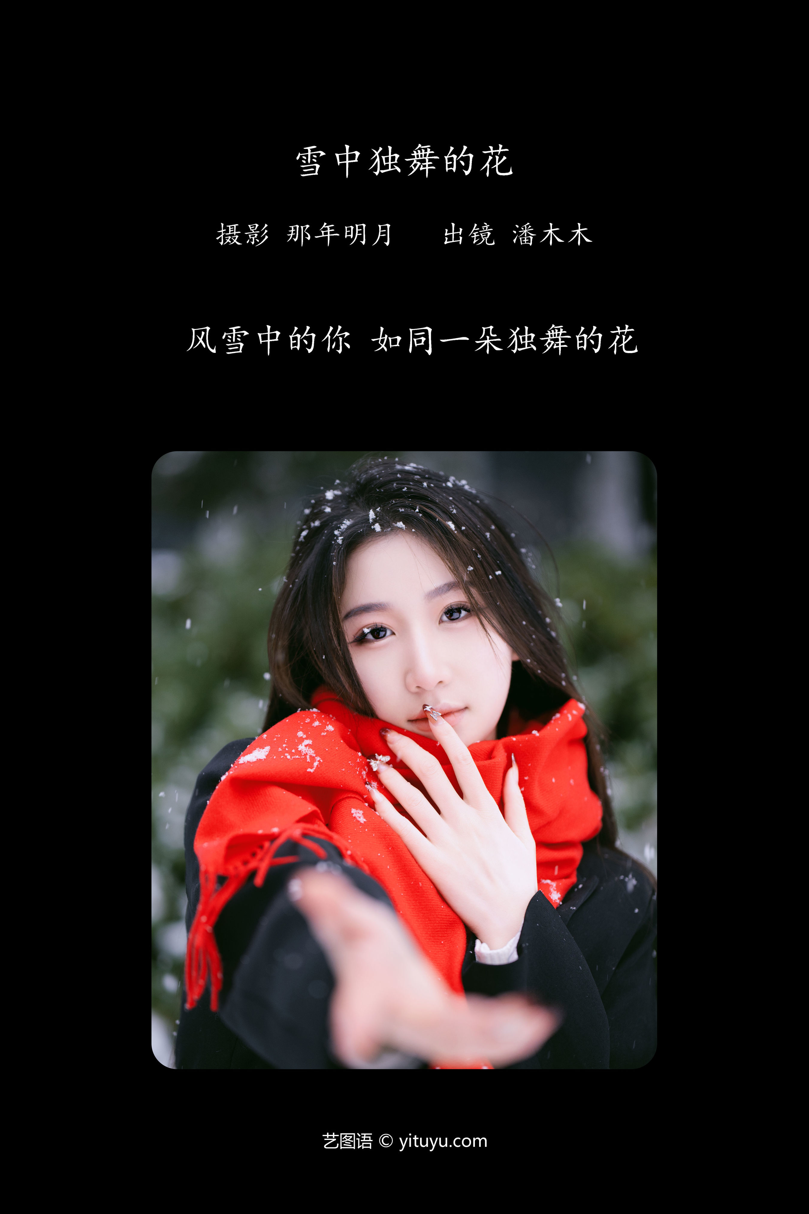 雪中独舞的花 雪景 冬天 小姐姐 美女 精美