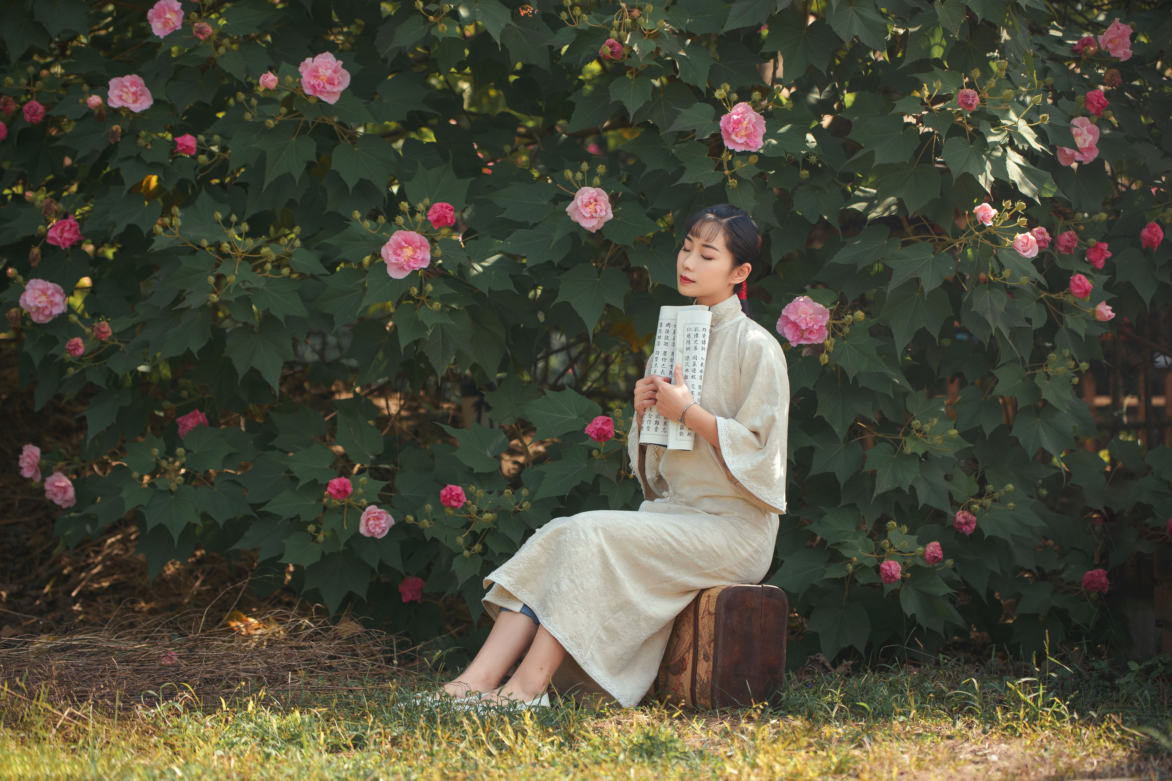 芙蓉玉 花 复古 旗袍 怀旧 女人