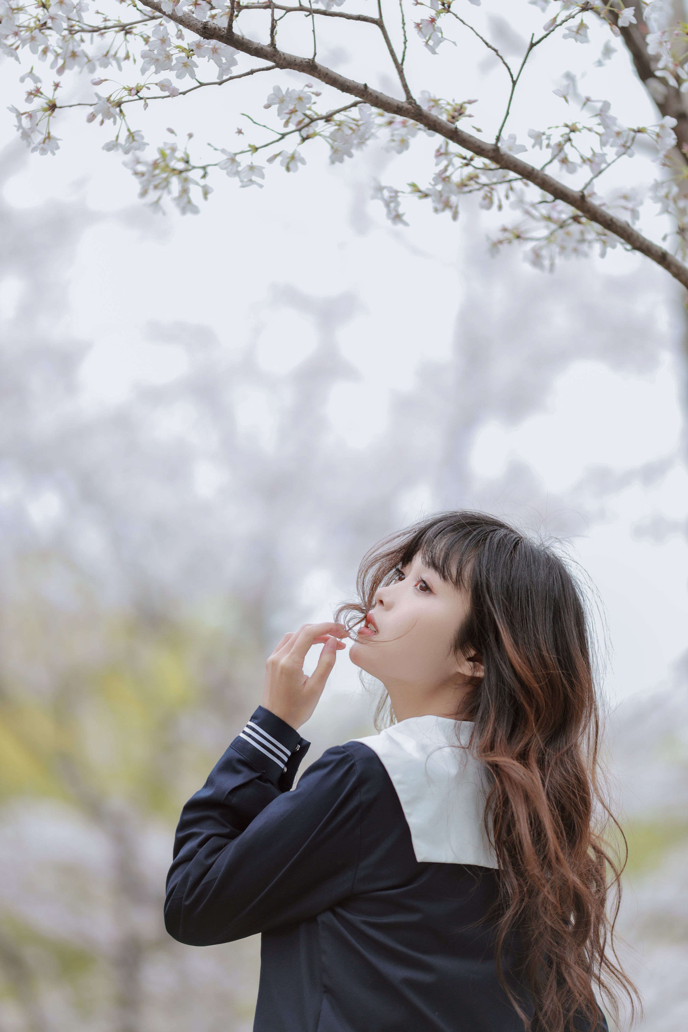 樱花树下 浪漫 JK 樱花 校花 水手服