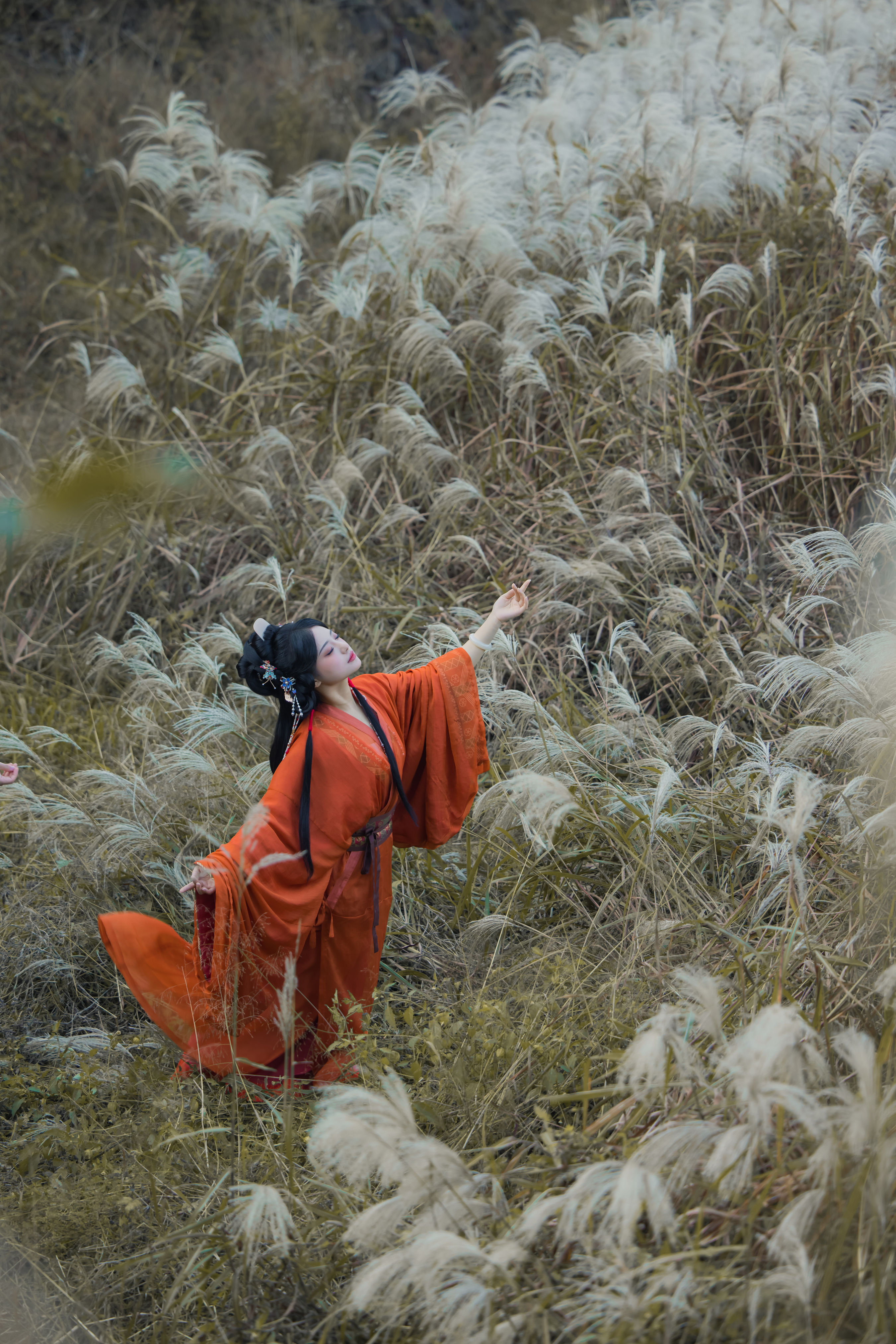 蒹葭苍苍 摄影 意境 古风 人物 氛围感