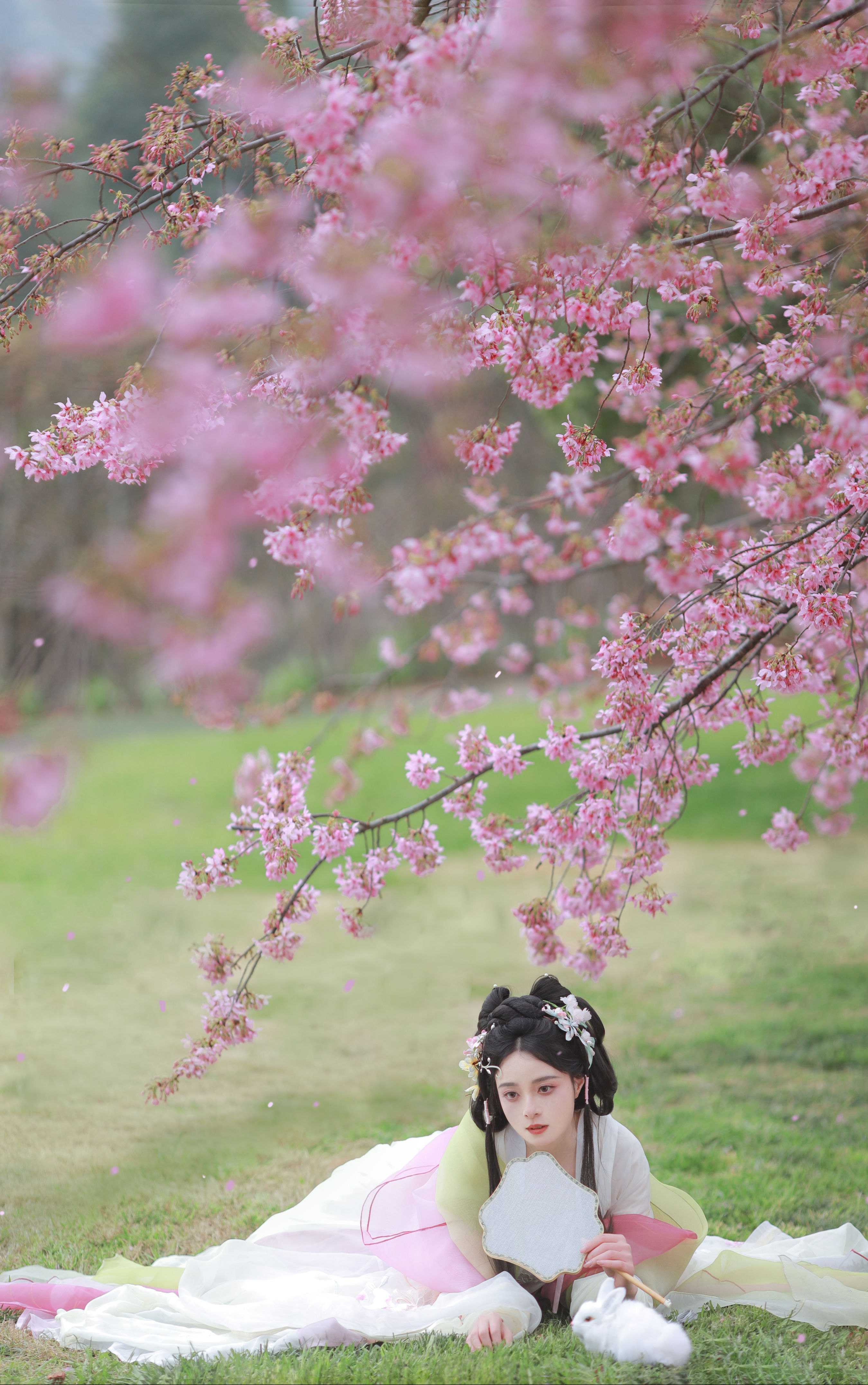 樱花雨 樱花 汉服 小姐姐 写真 小仙女