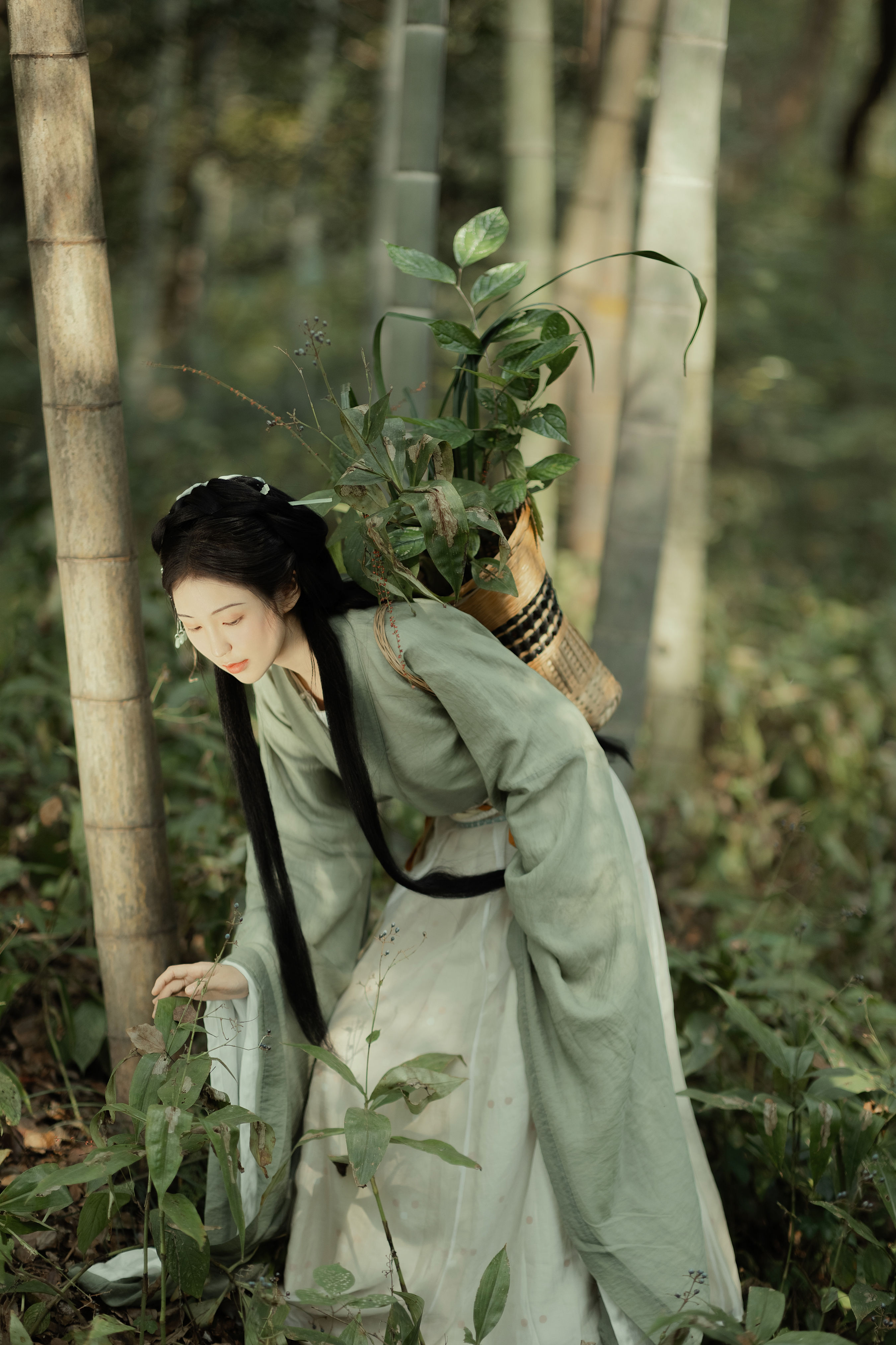 采药 氛围感 古风 女子 古代 姑娘