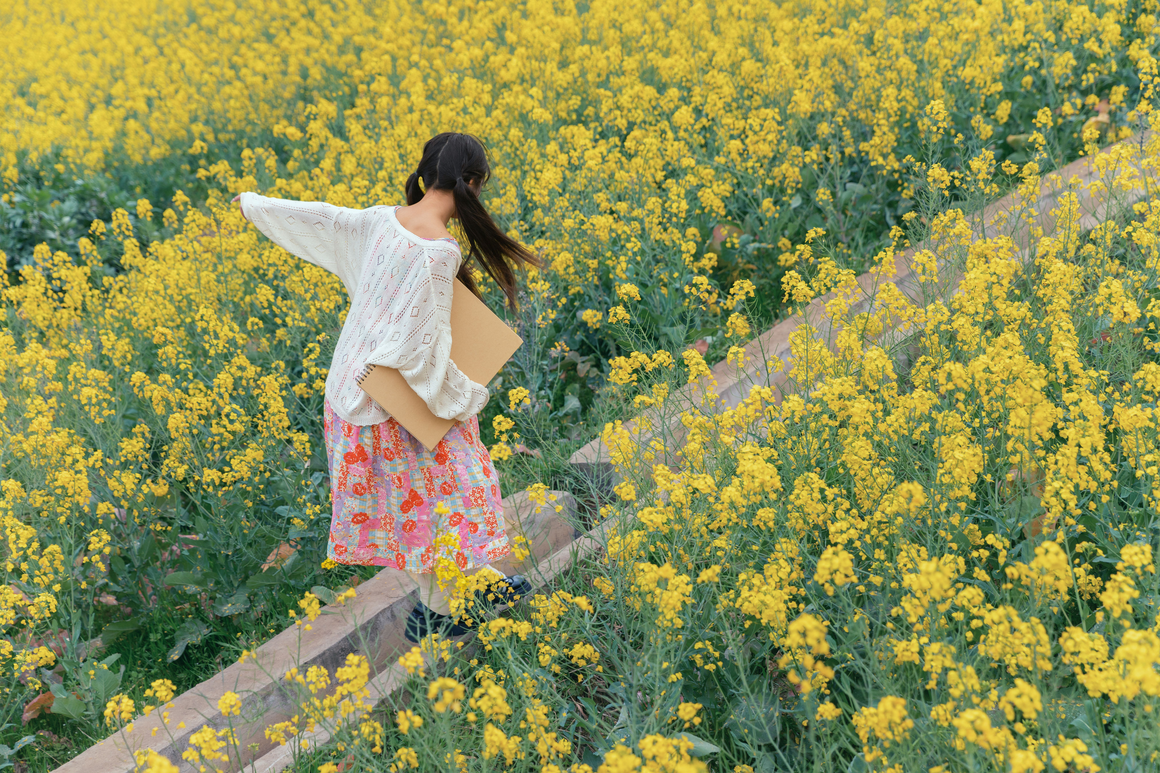 春日小画家 春日 花 妹子 可爱 摄影 油菜花