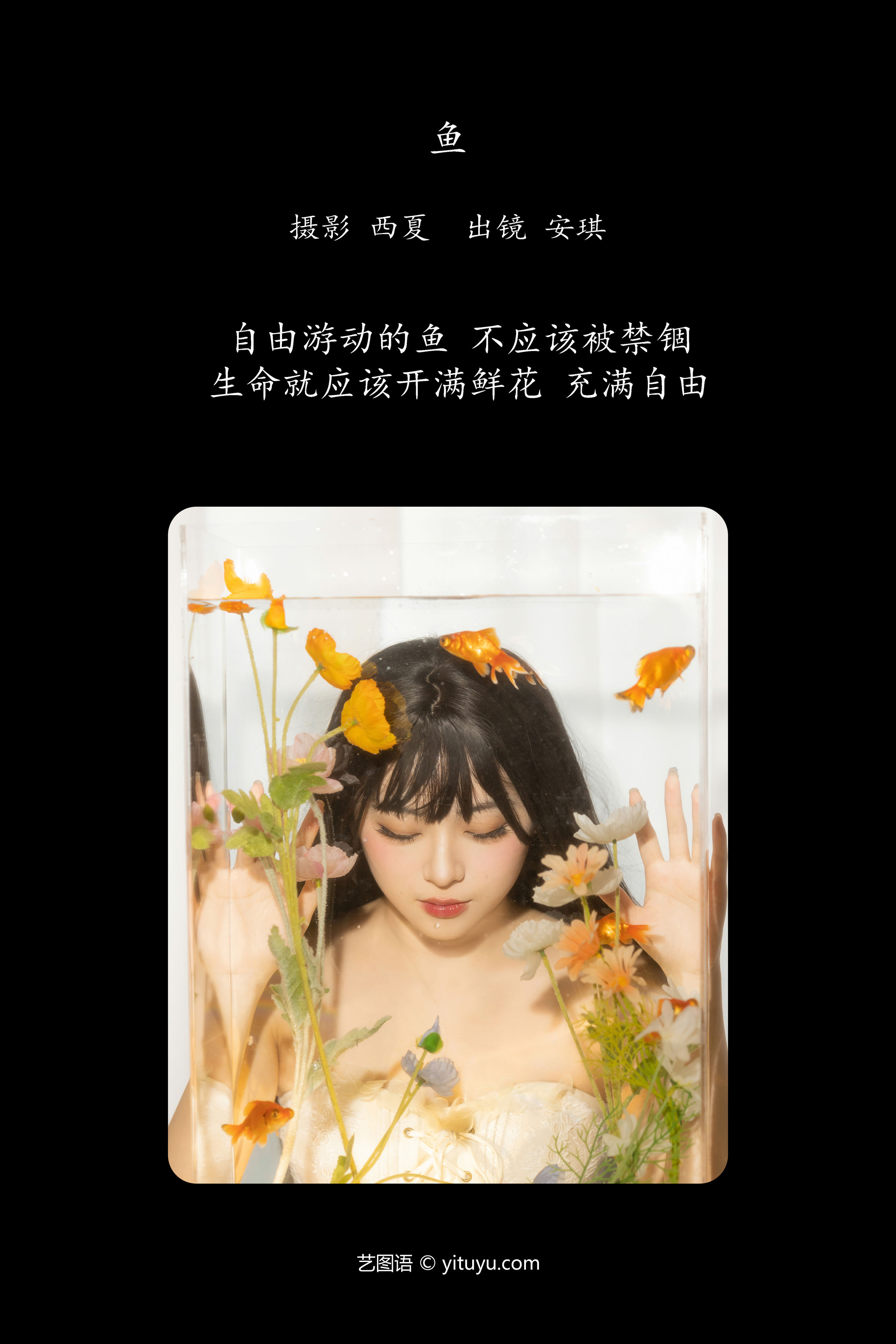 鱼 时尚 摄影 创意 人像 模特 精美