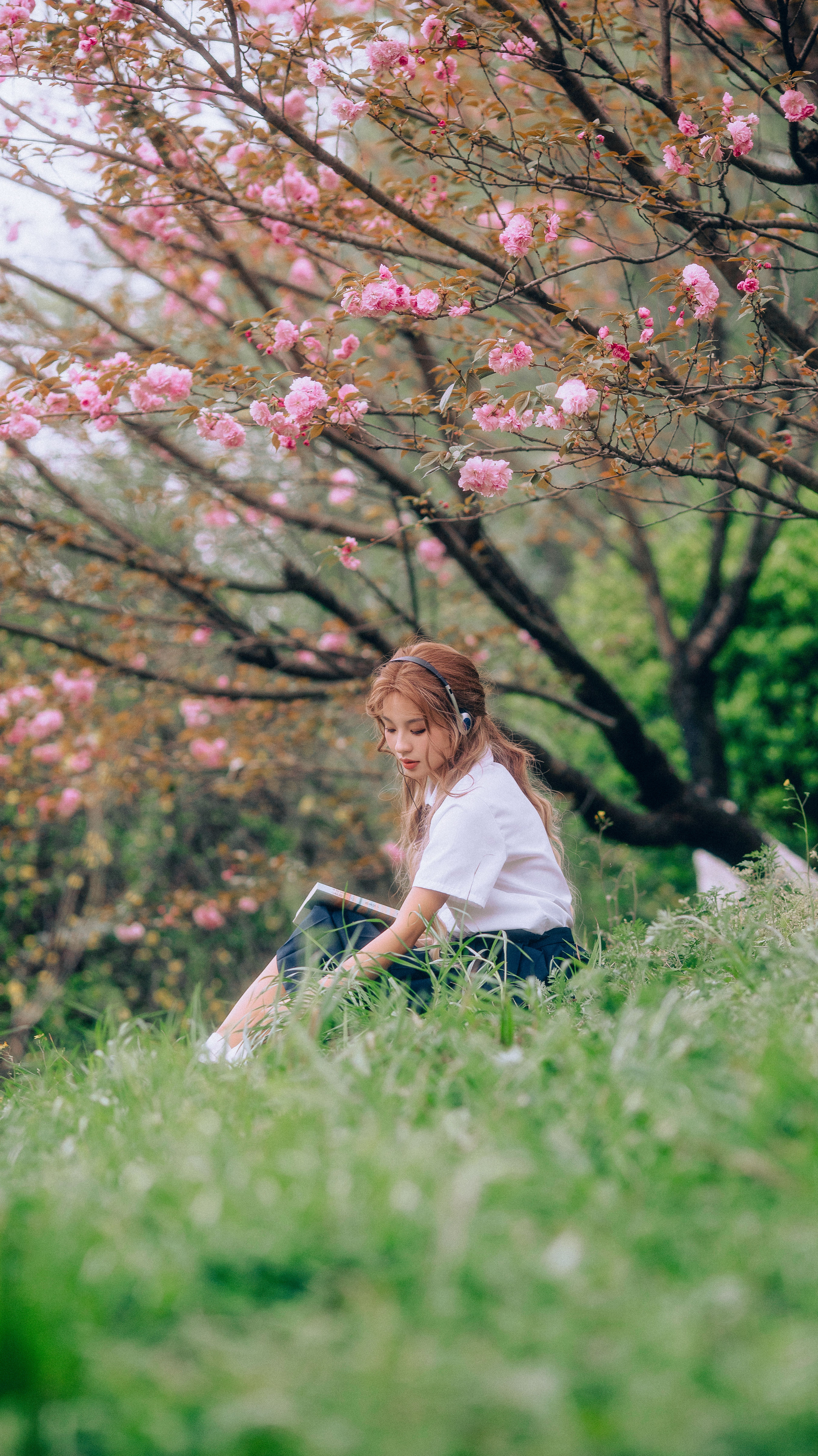 三月的樱花 樱花 JK 女生 日系 森系