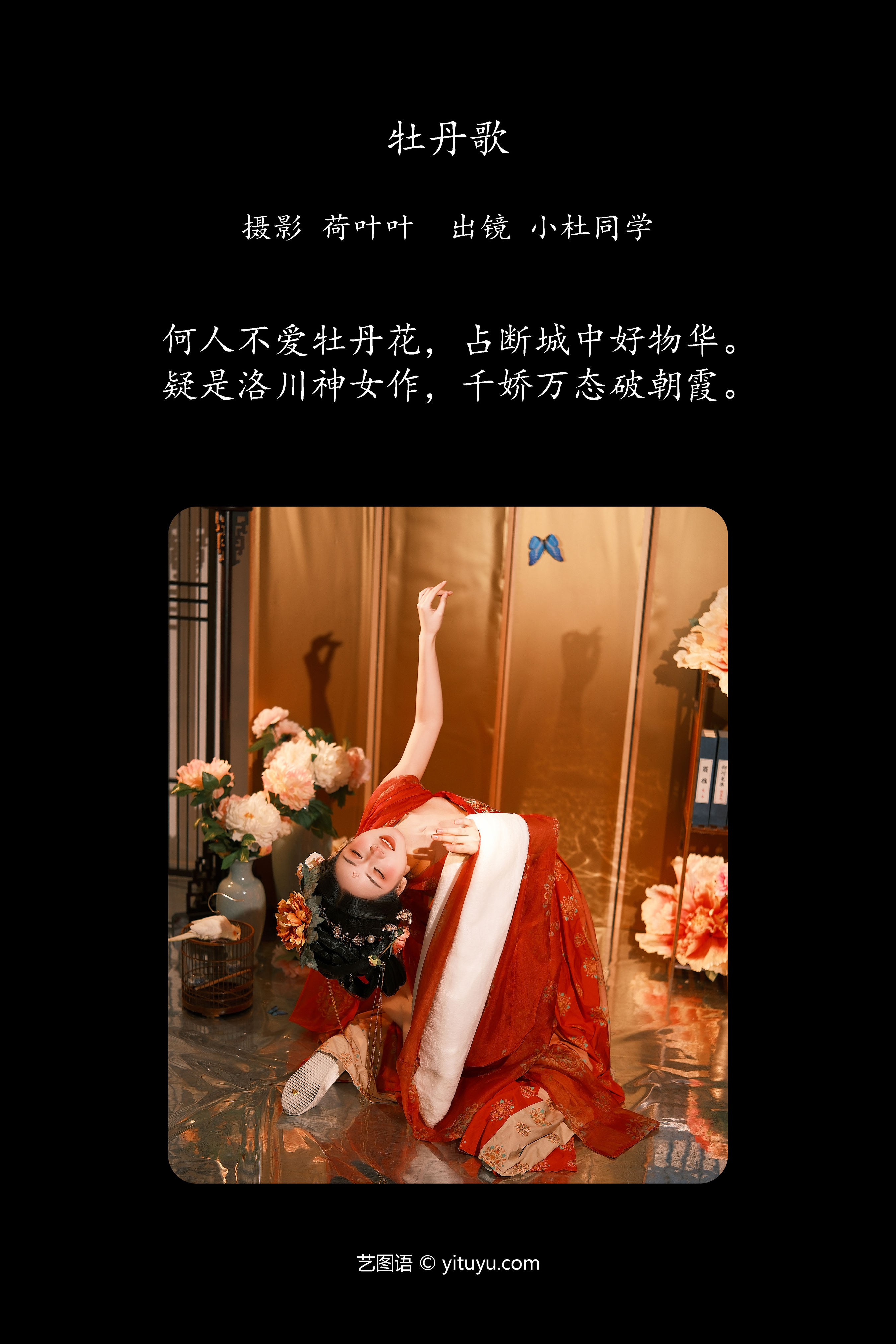 牡丹歌 中国风 古典 红色 花 汉服