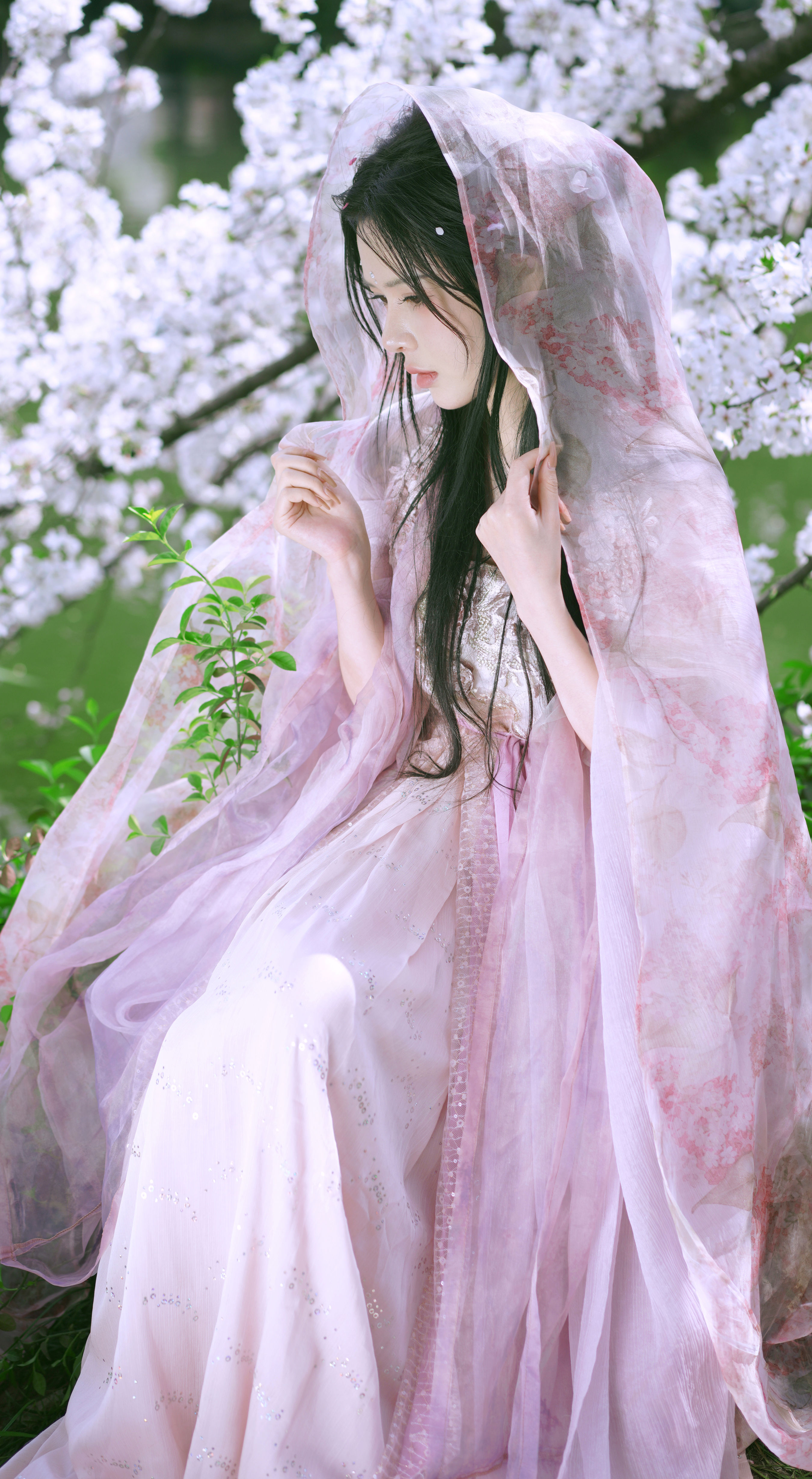 樱花季 樱花 汉服 美人 写真 古装