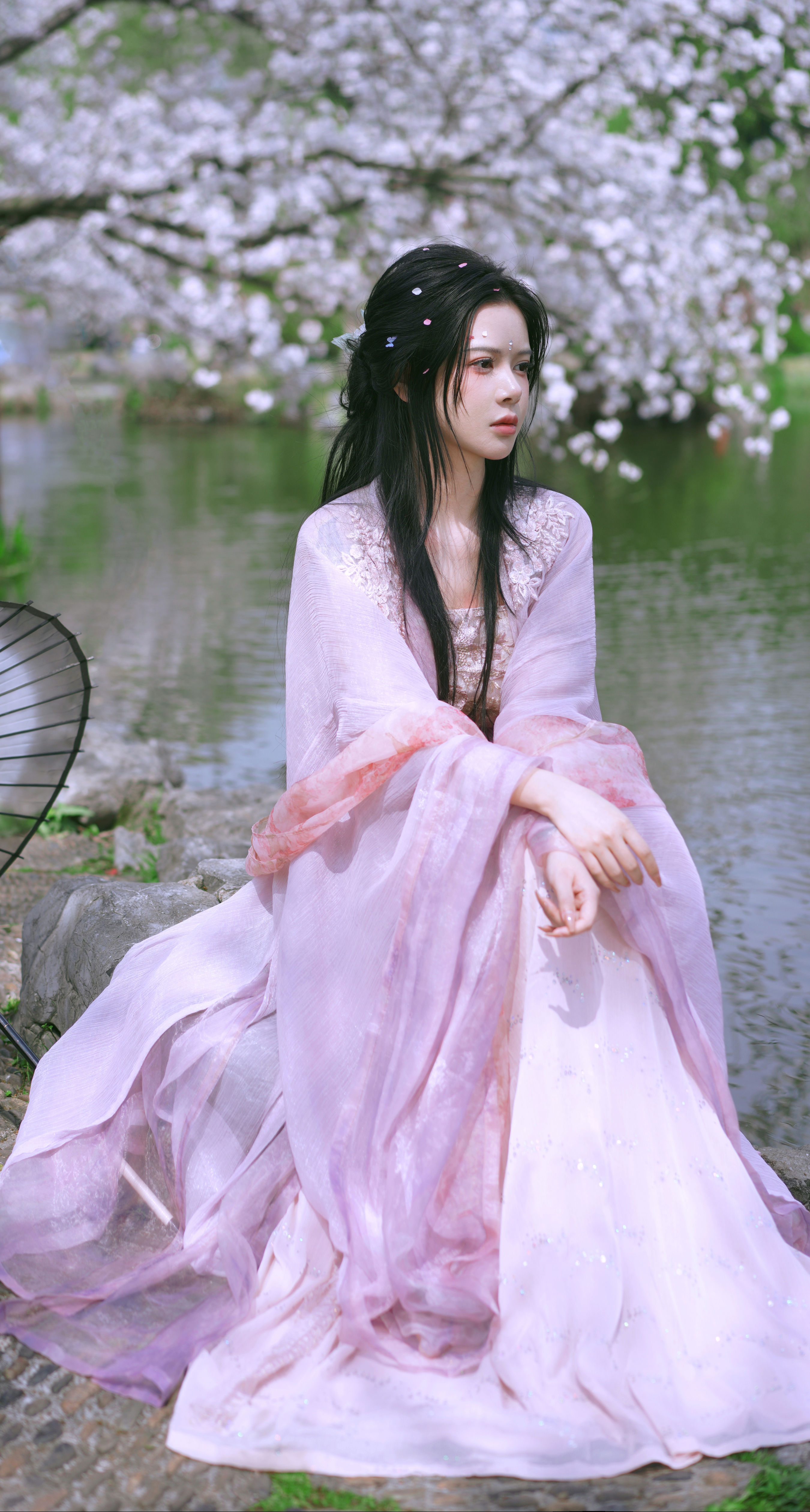 樱花季 樱花 汉服 美人 写真 古装