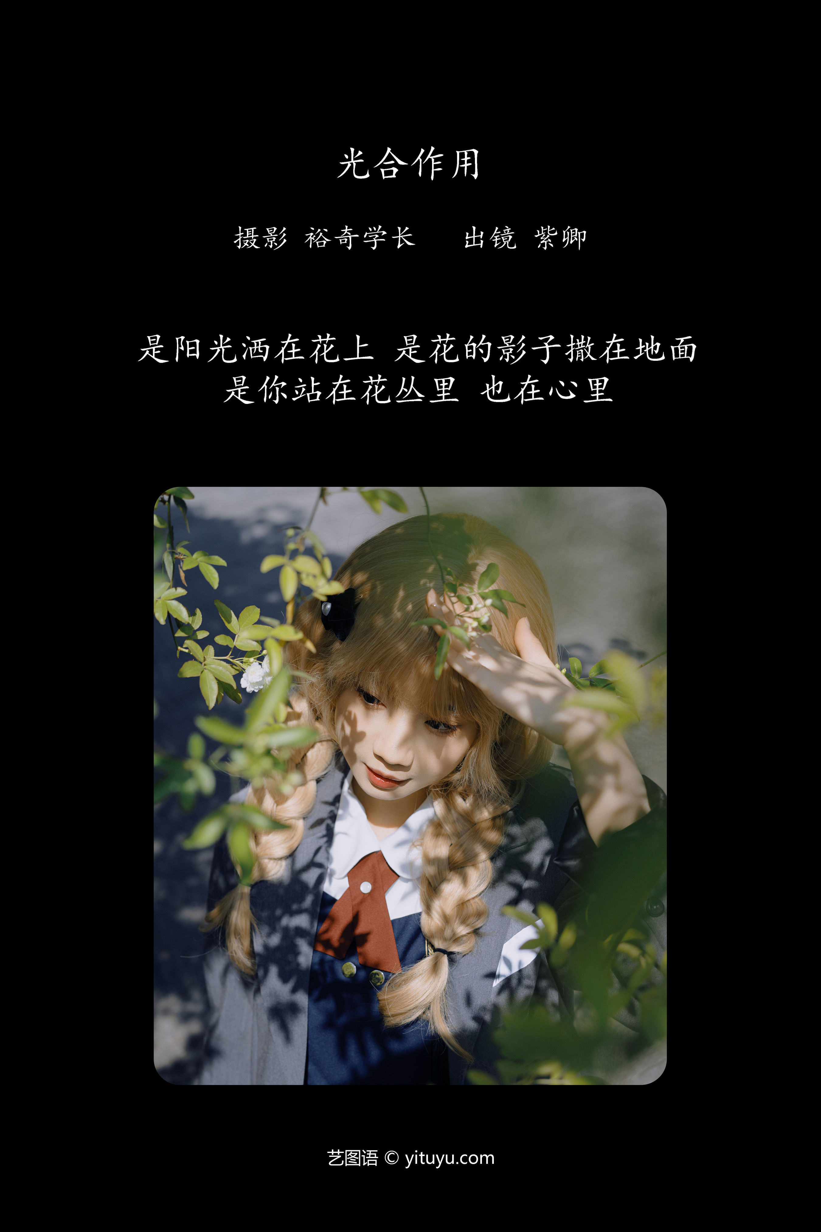 绿色能量之源：植物光合作用揭秘。