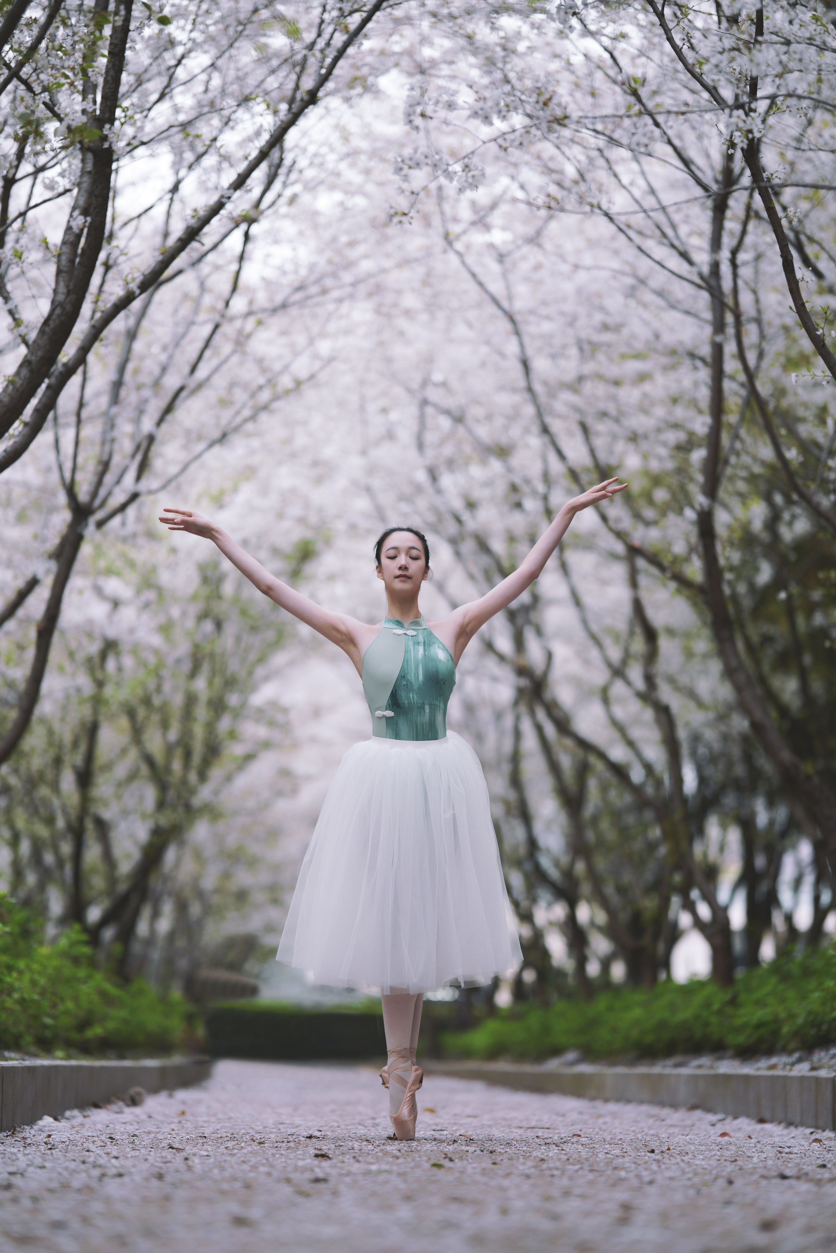 樱花芭蕾 樱花 小姐姐 优美 美丽 艺术