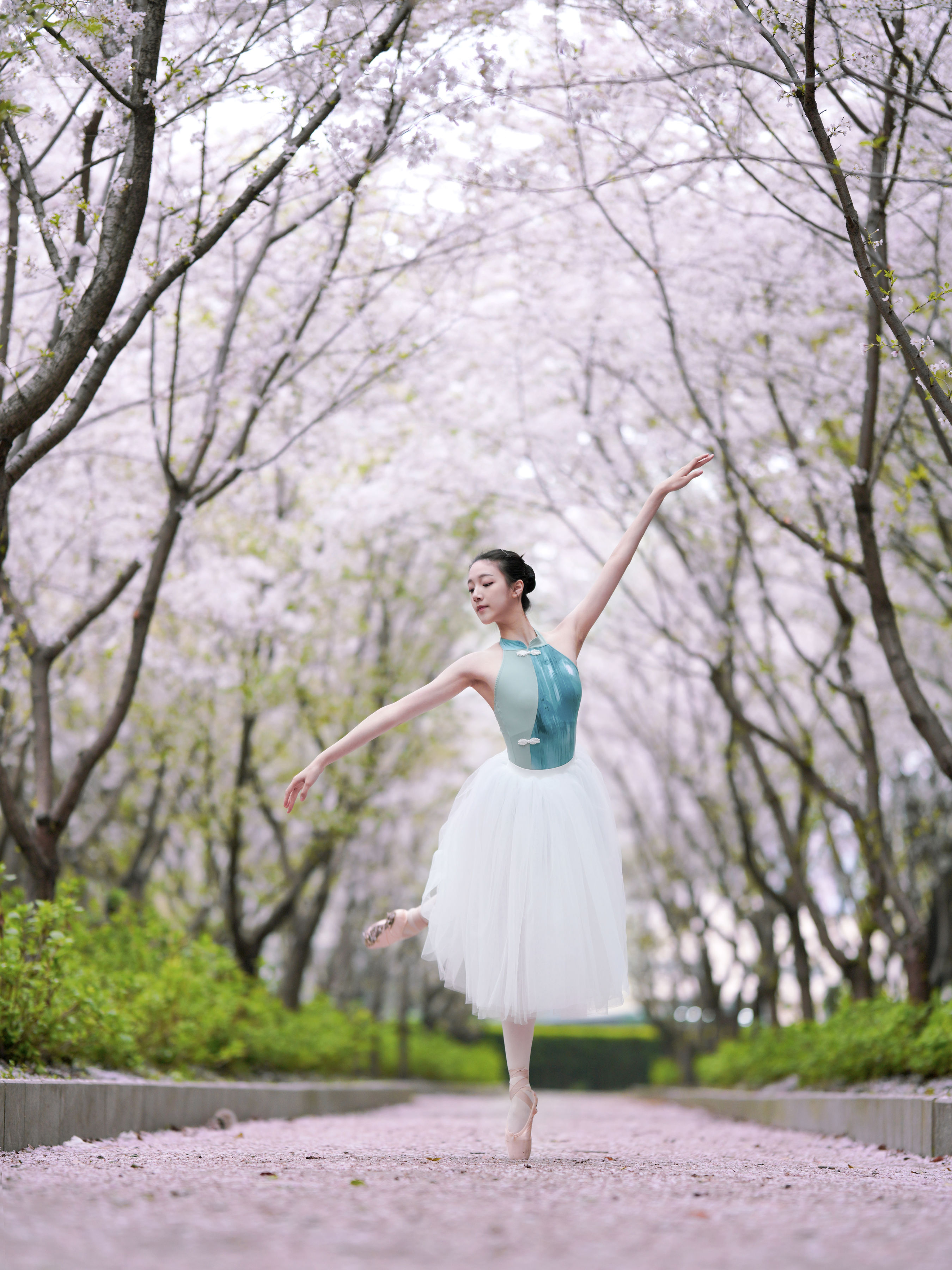 樱花芭蕾 樱花 小姐姐 优美 美丽 艺术