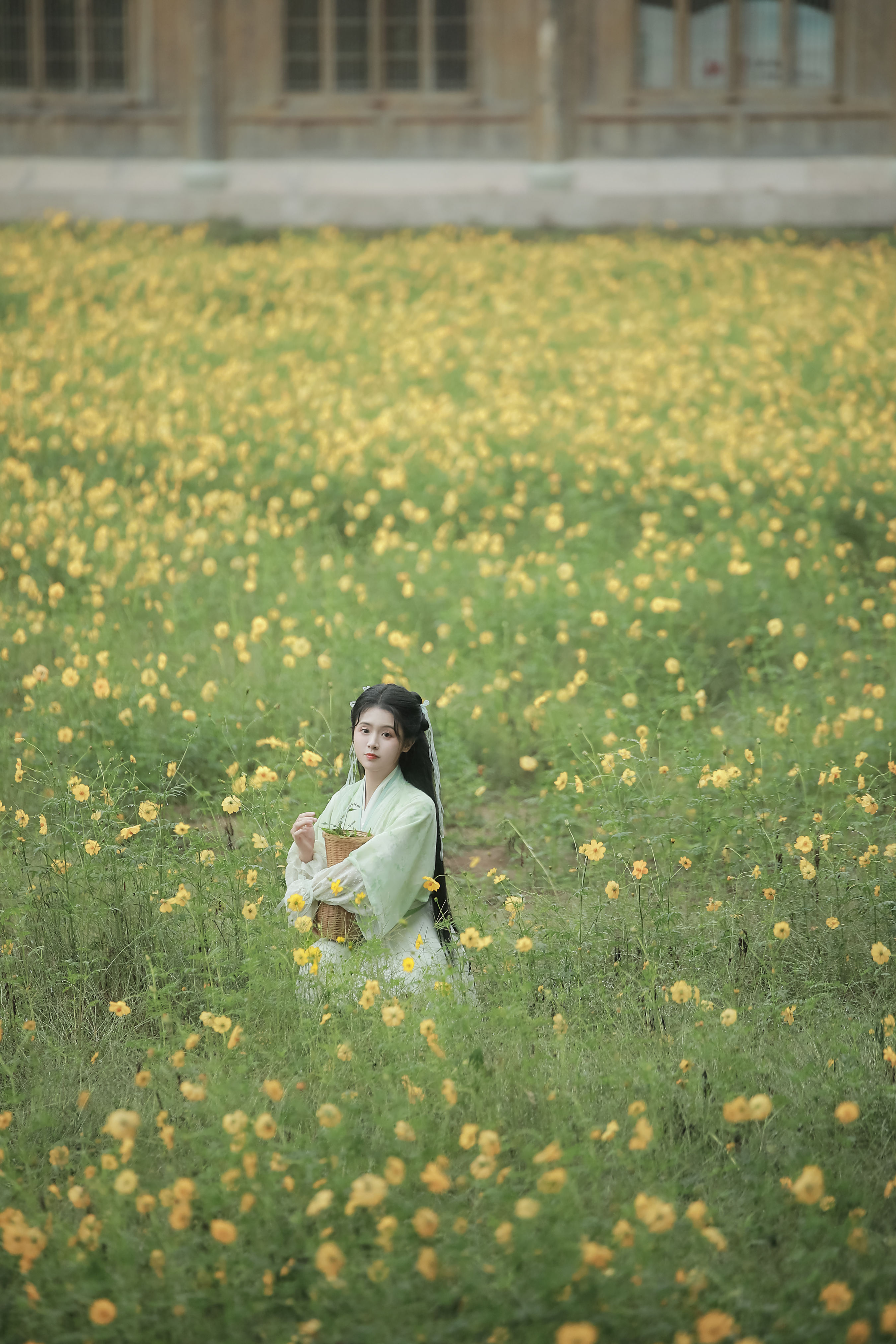 赵灵儿：柔情侠骨，江湖传奇女主角之风采。