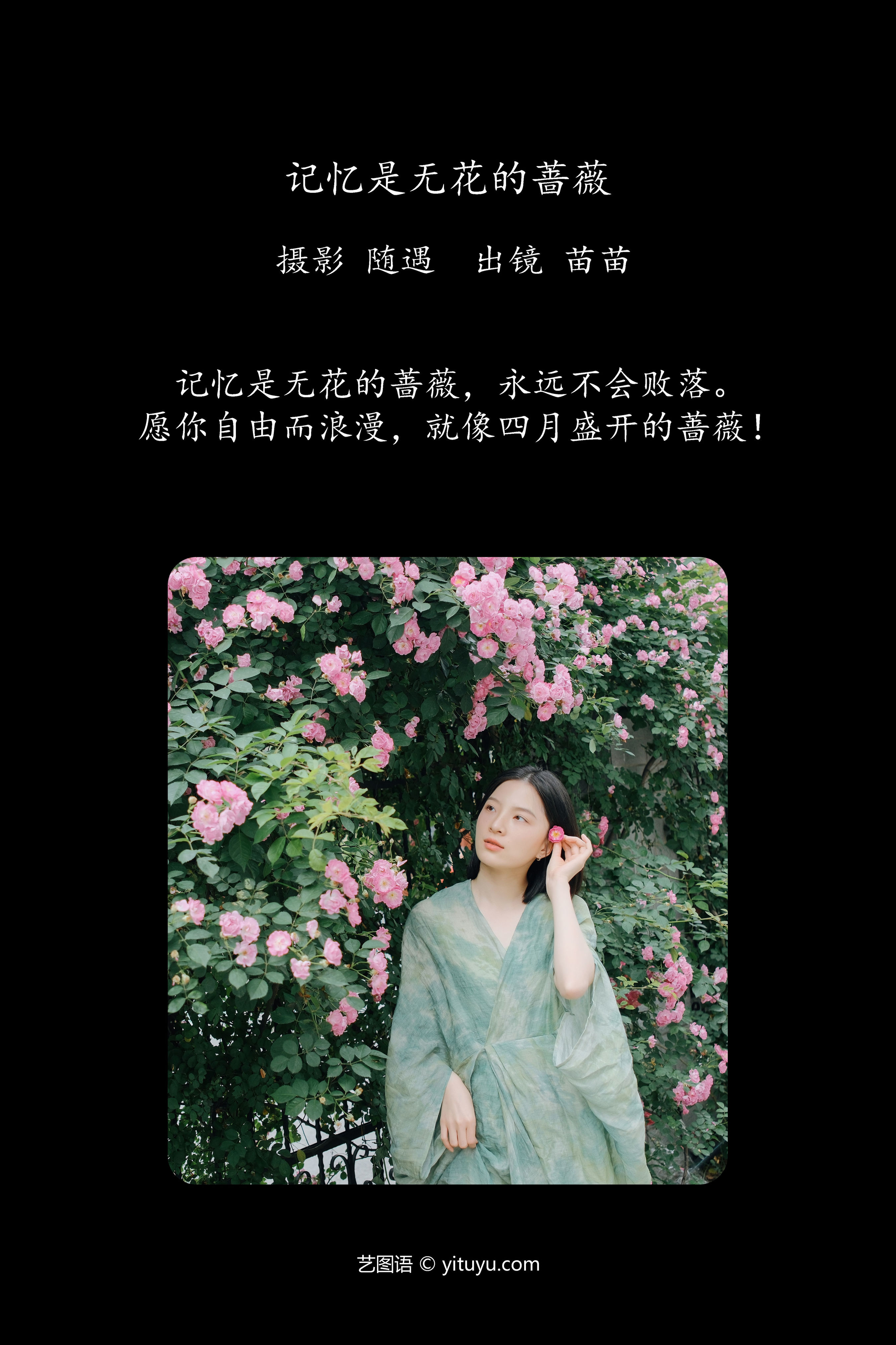 记忆是无花的蔷薇 浪漫 花 蔷薇花 春天 小清新 女人