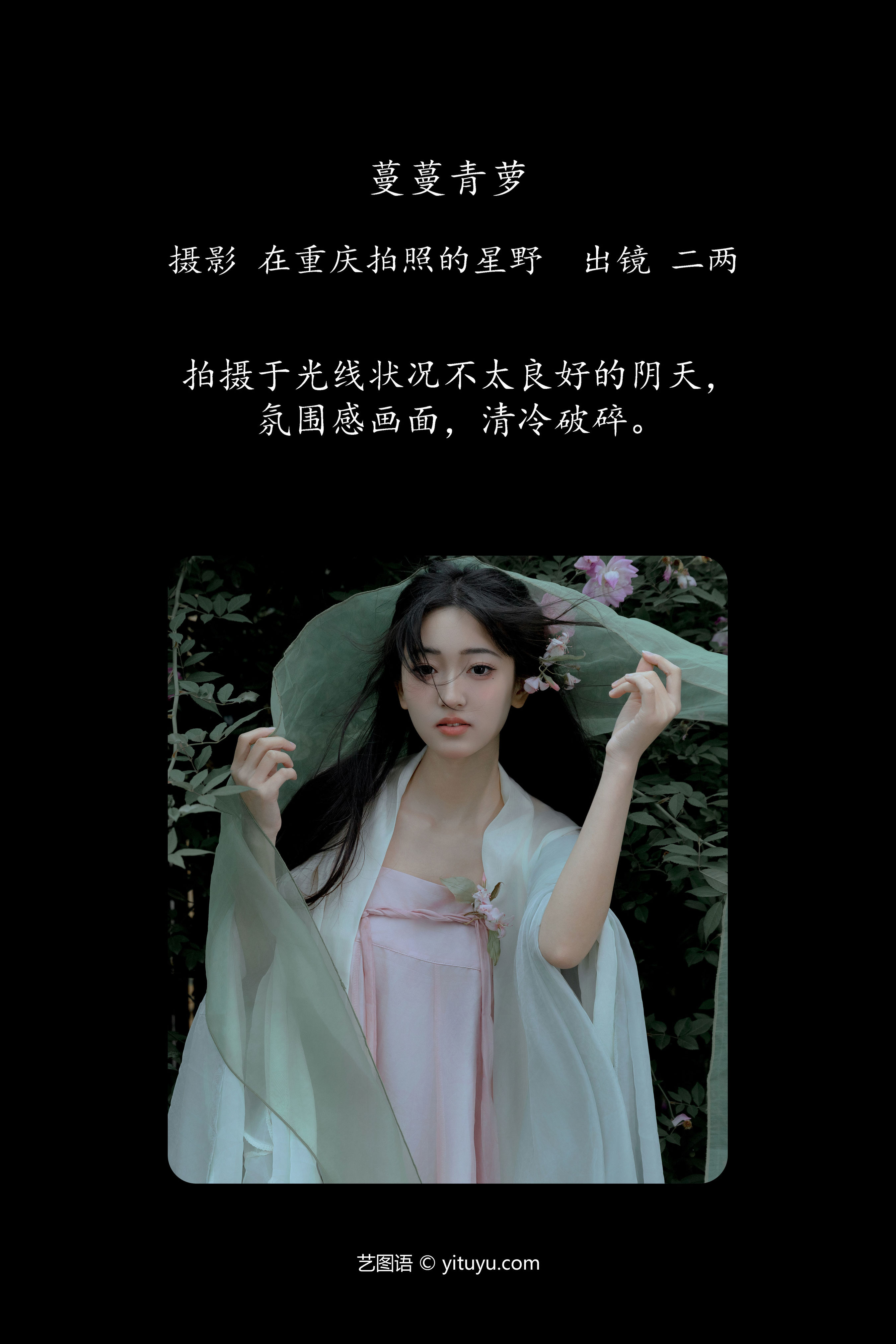 蔓藤青萝，绿意盎然——探寻自然生命力之美