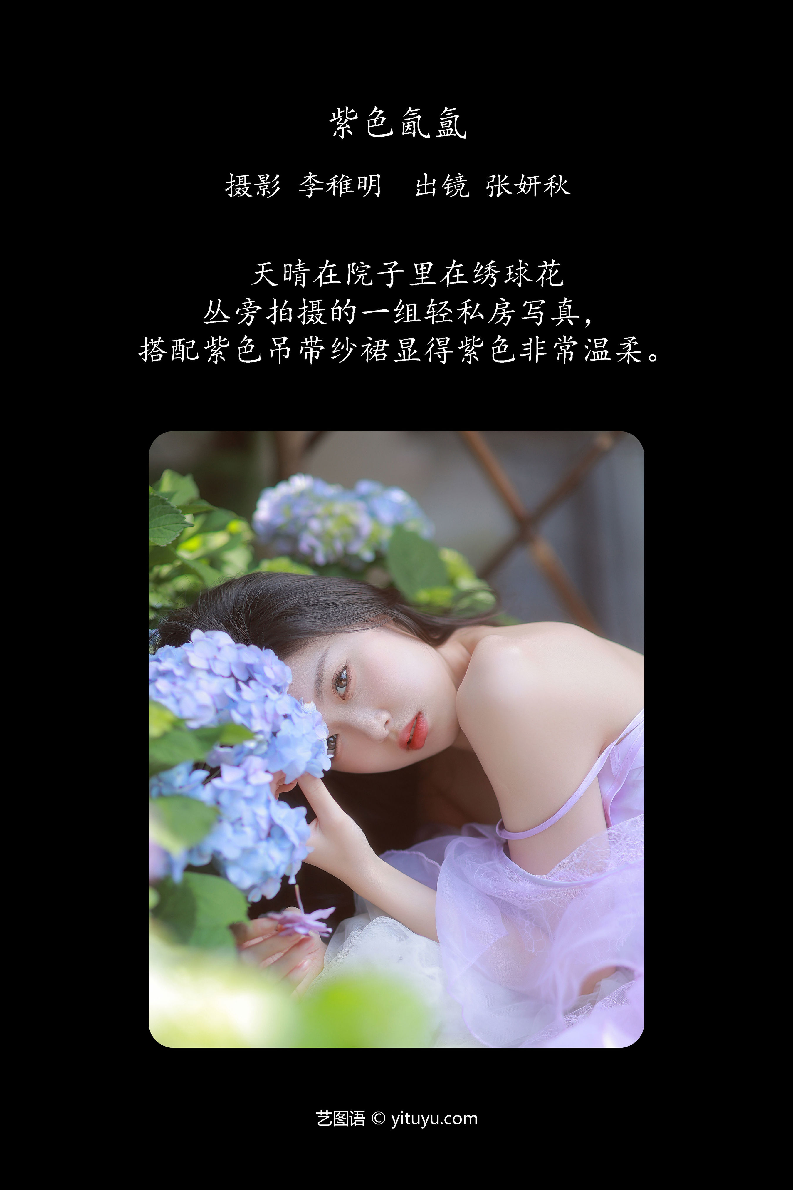 紫色氤氲 温柔 性感 私房照 绣球花 少女