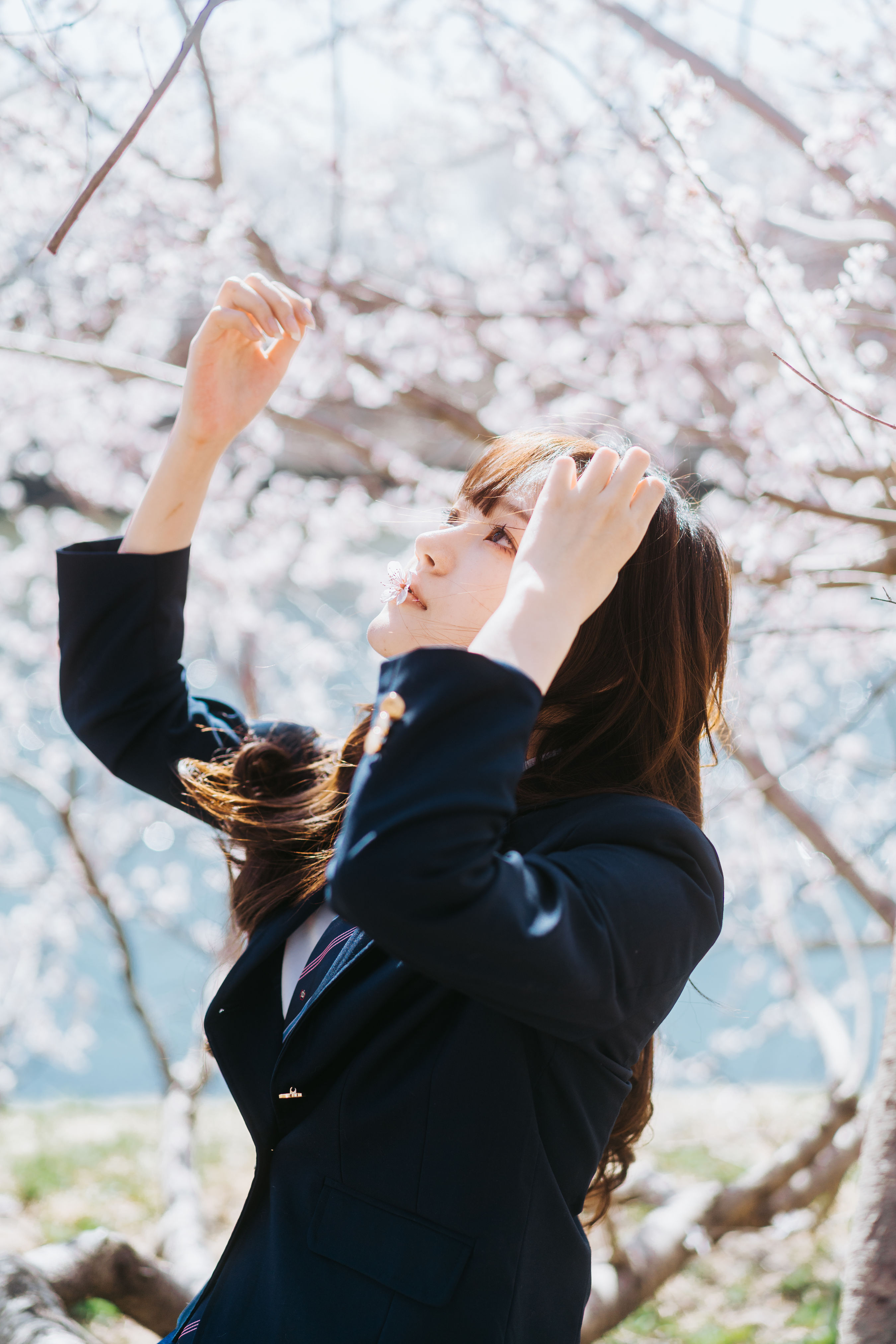 花之少女：青春绽放的绚丽篇章