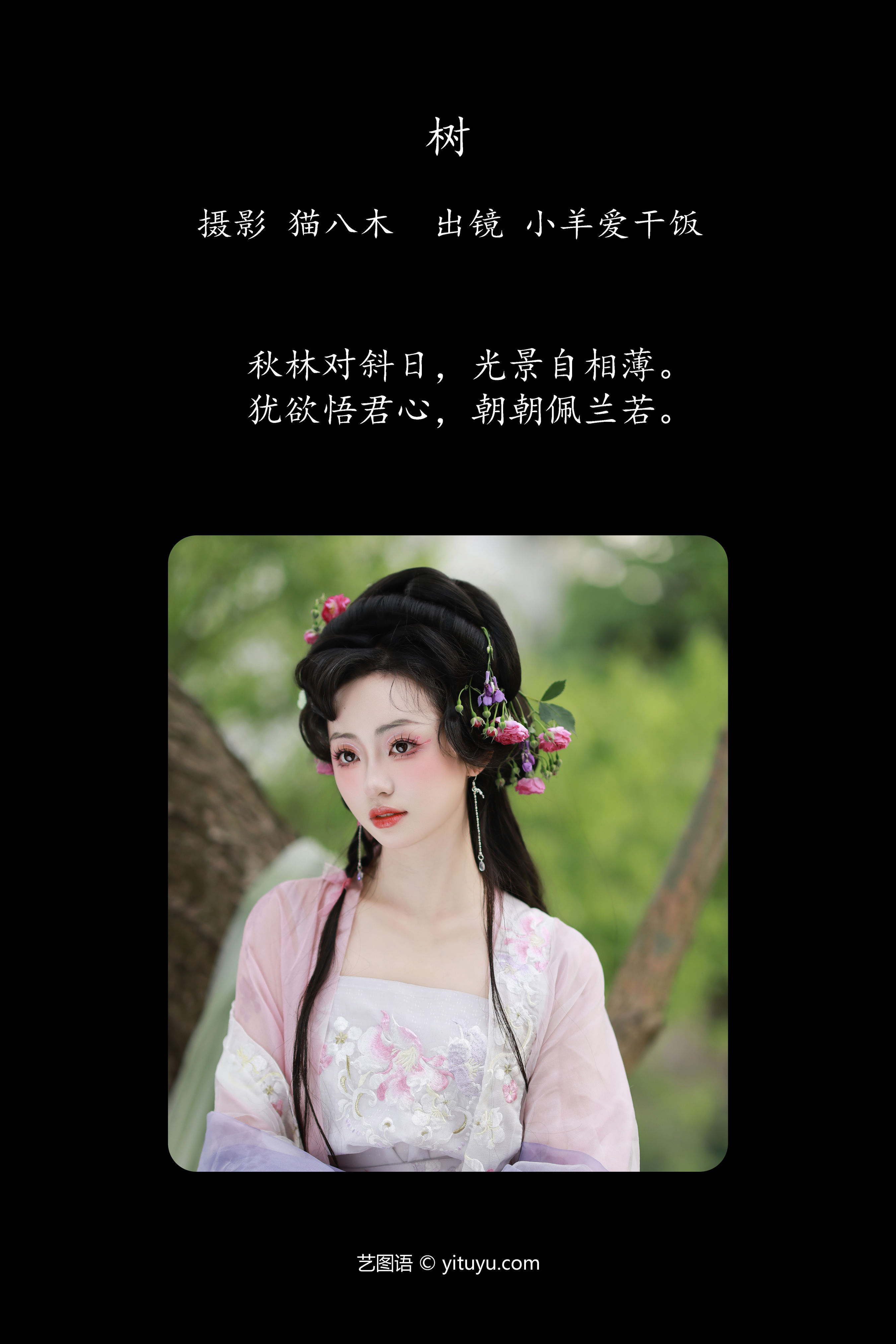 树 小仙女 汉服 古装 树林 小清新