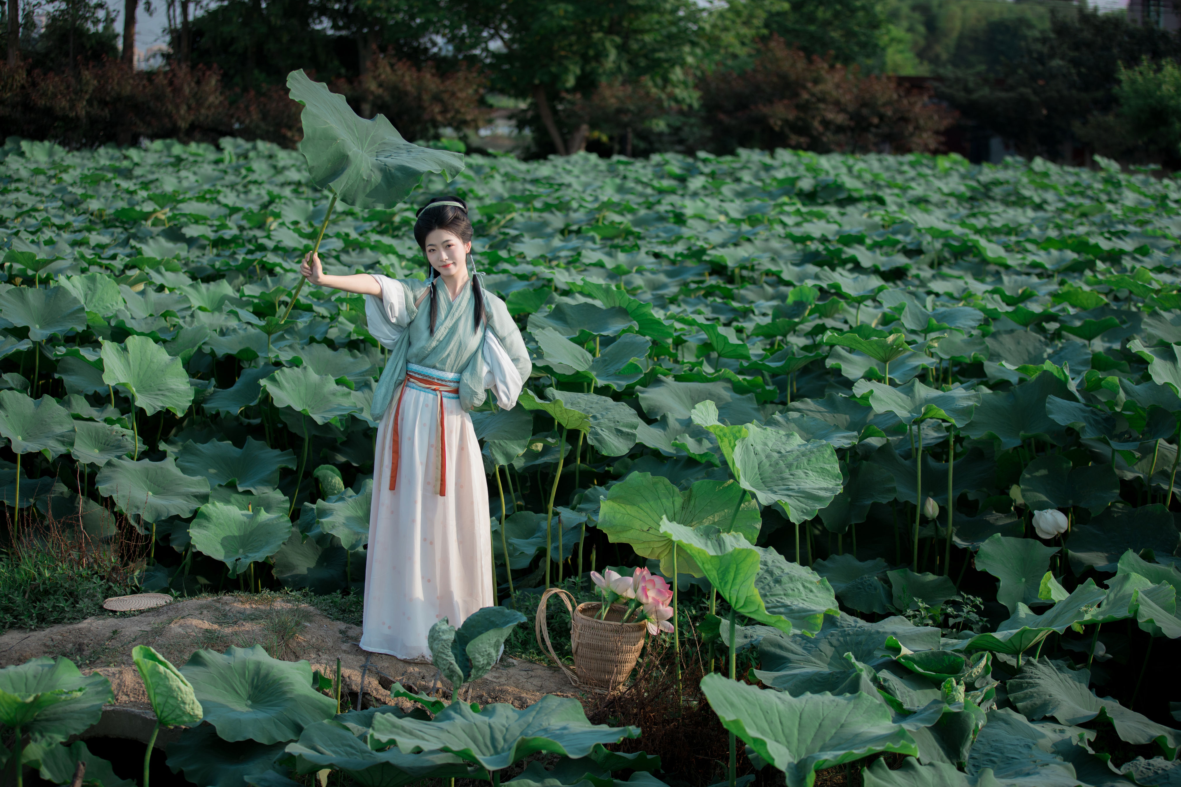 采荷 元气 汉服 姑娘 古代 荷花 可爱