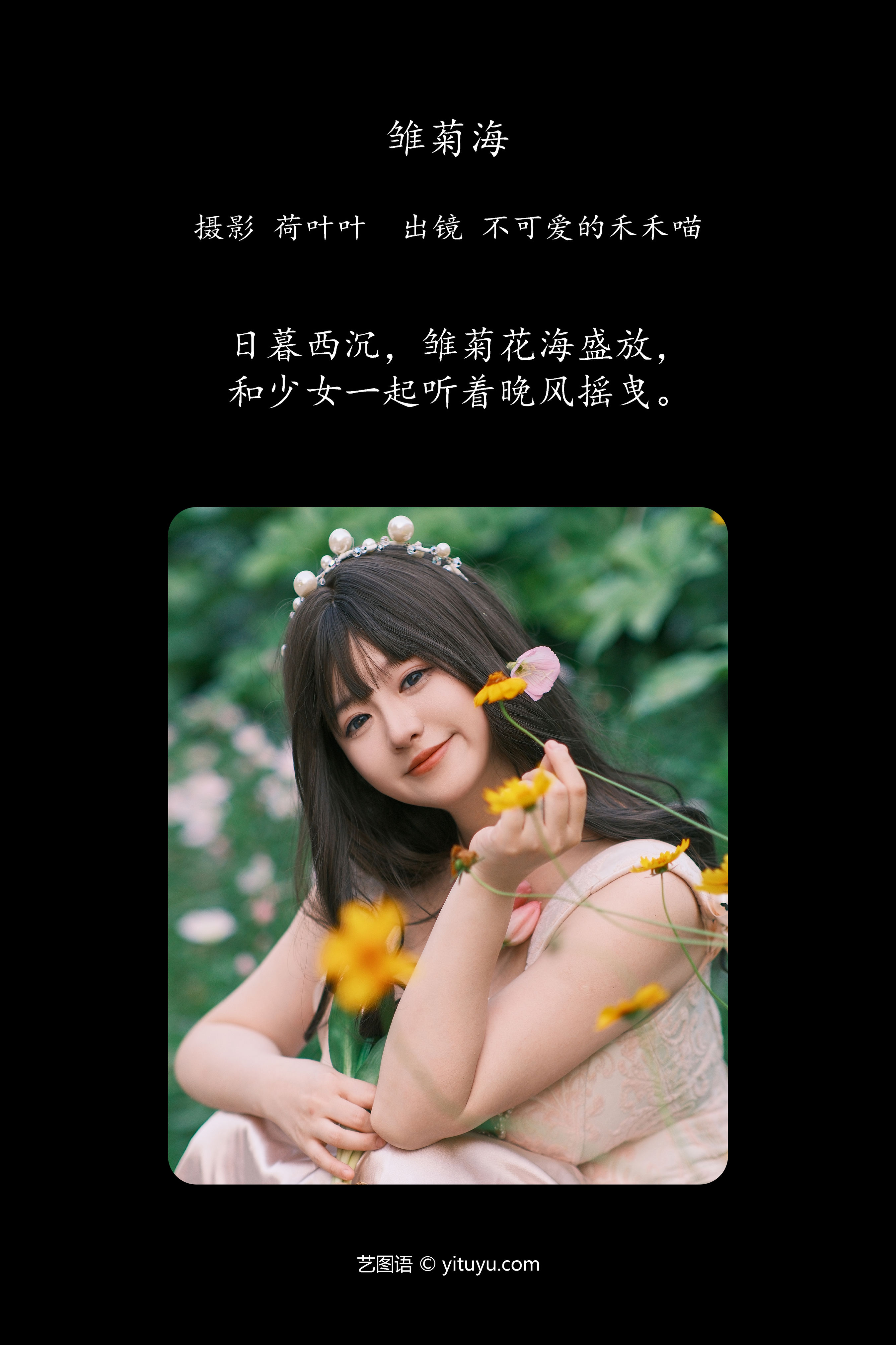 雏菊海 小仙女 花 时尚 写真 少女