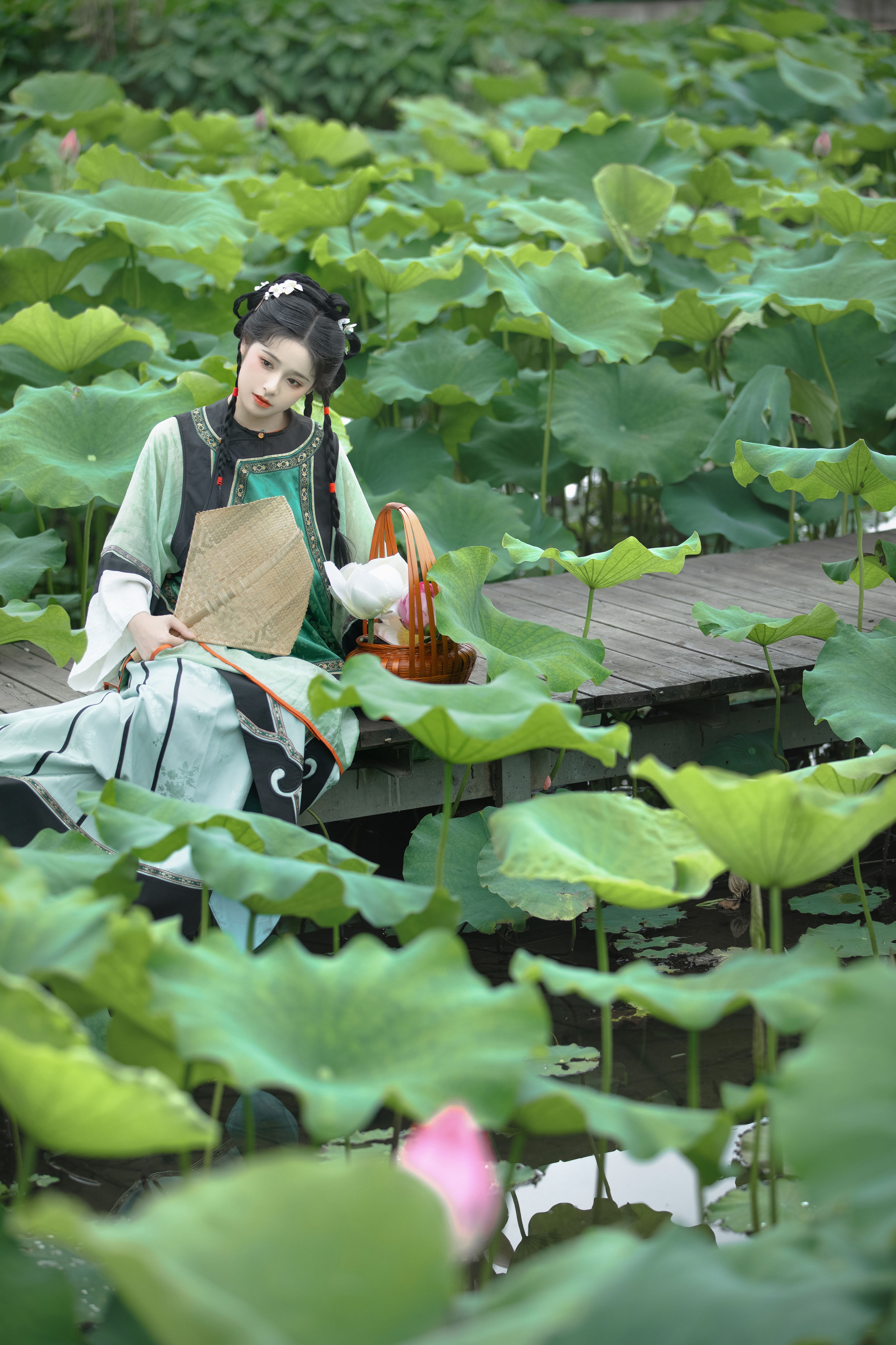 菡萏香 古风 古代 姑娘 荷花 绿色