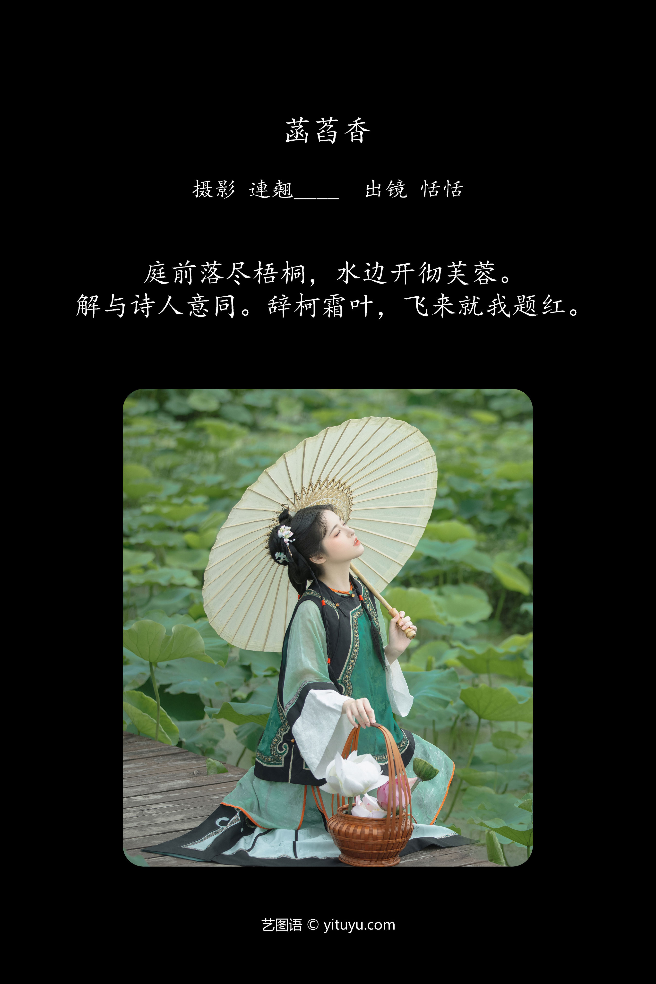 菡萏香：绽放美丽，芬芳迷人标题。