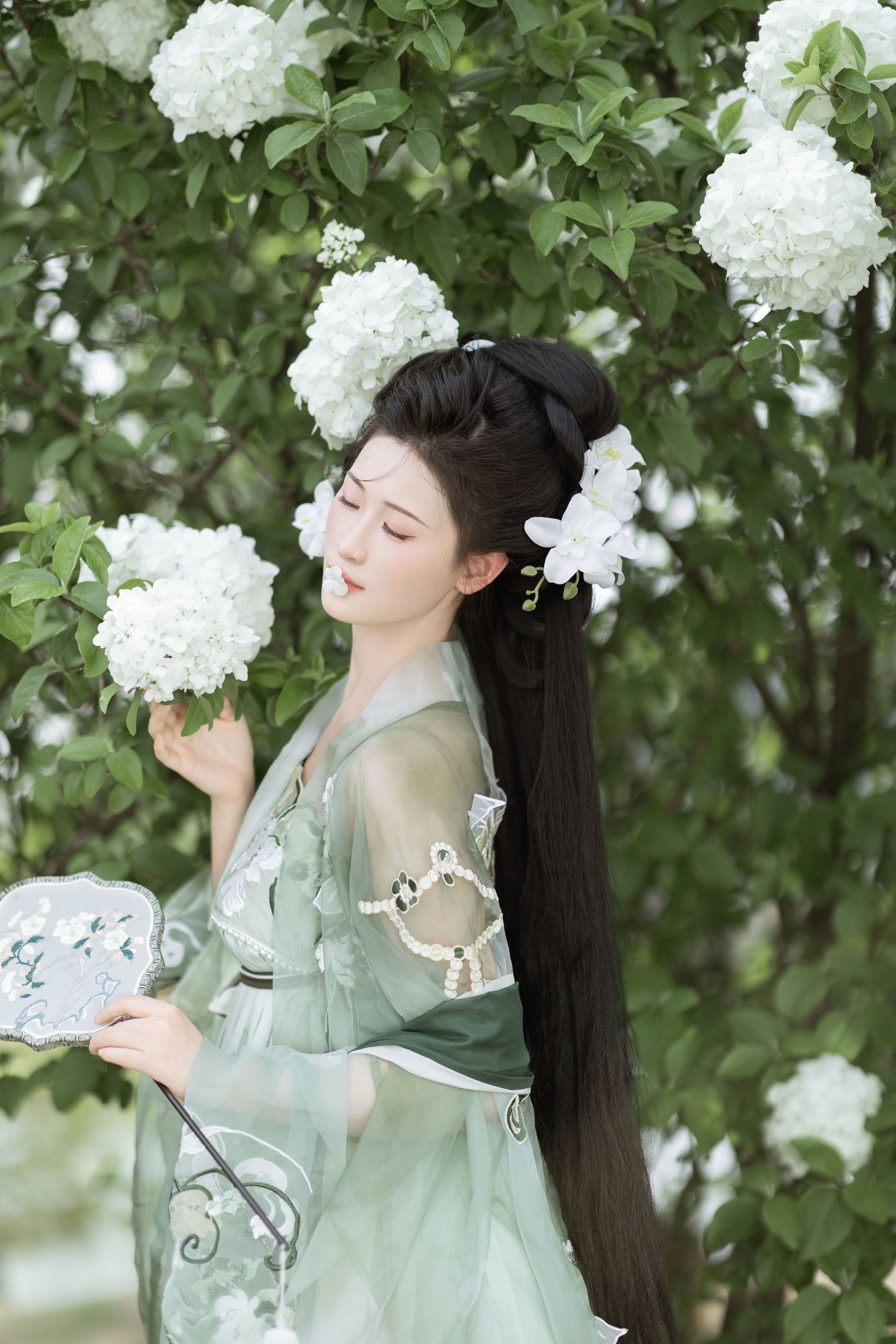 玉绣球花 绣球花 古装 汉服 美人 小姐姐 写真