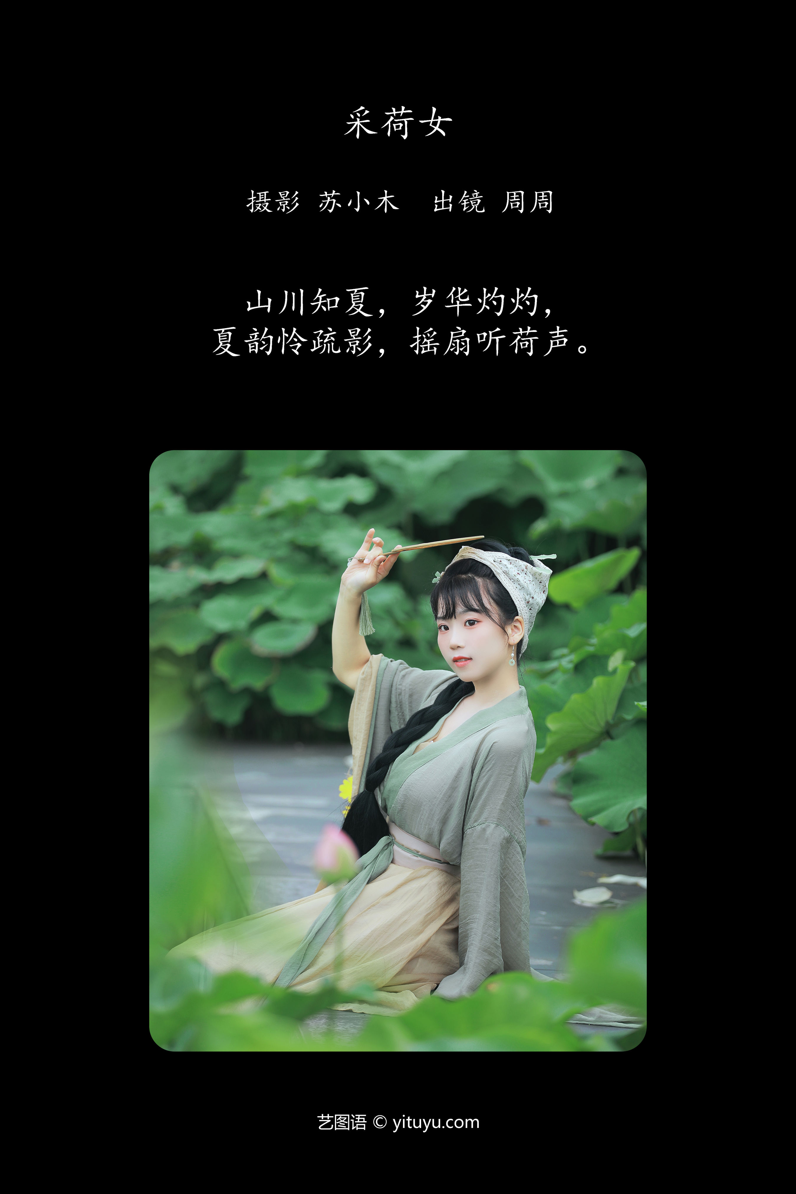 采荷女 荷花 古风 姑娘 古代 绿色 夏天