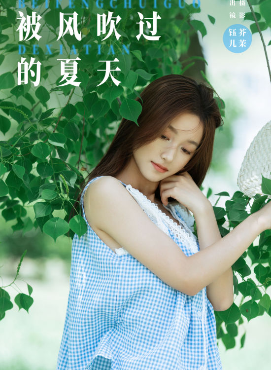 夏日轻风的记忆：随风舞动夏韵之曲