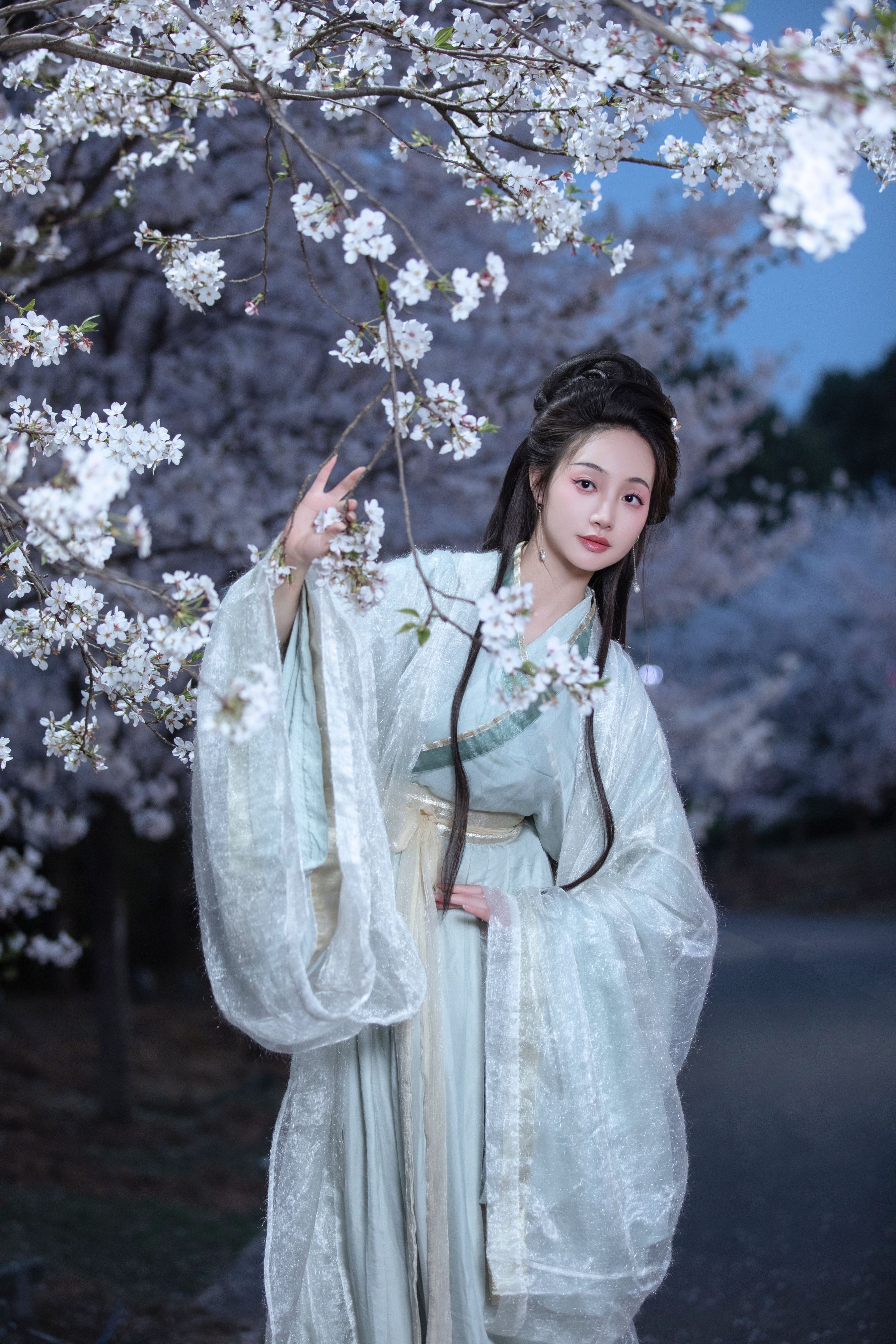 夜樱 樱花 汉服 古风 美人 写真