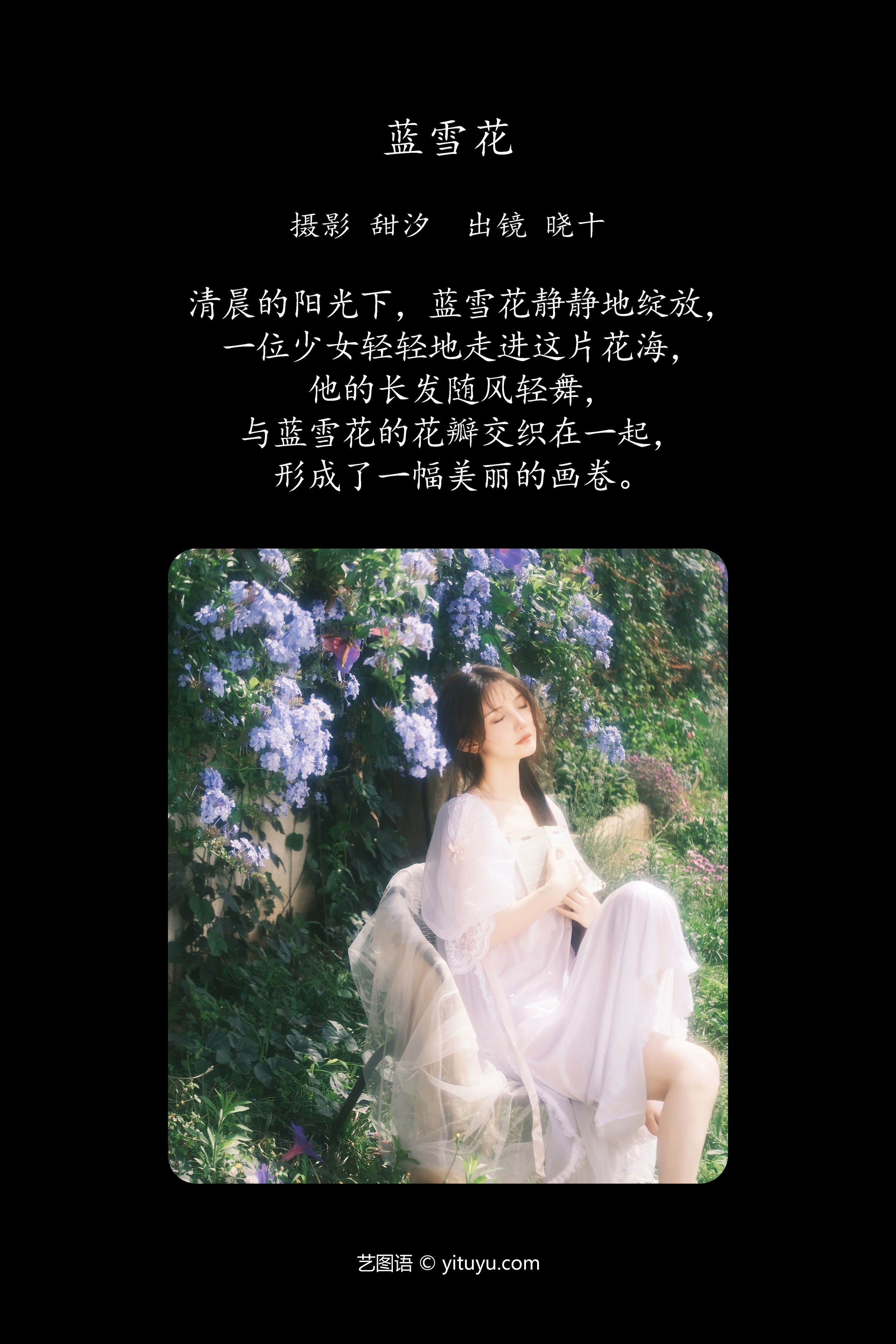 蓝雪花 美丽 花 小仙女 氛围感 写真 少女