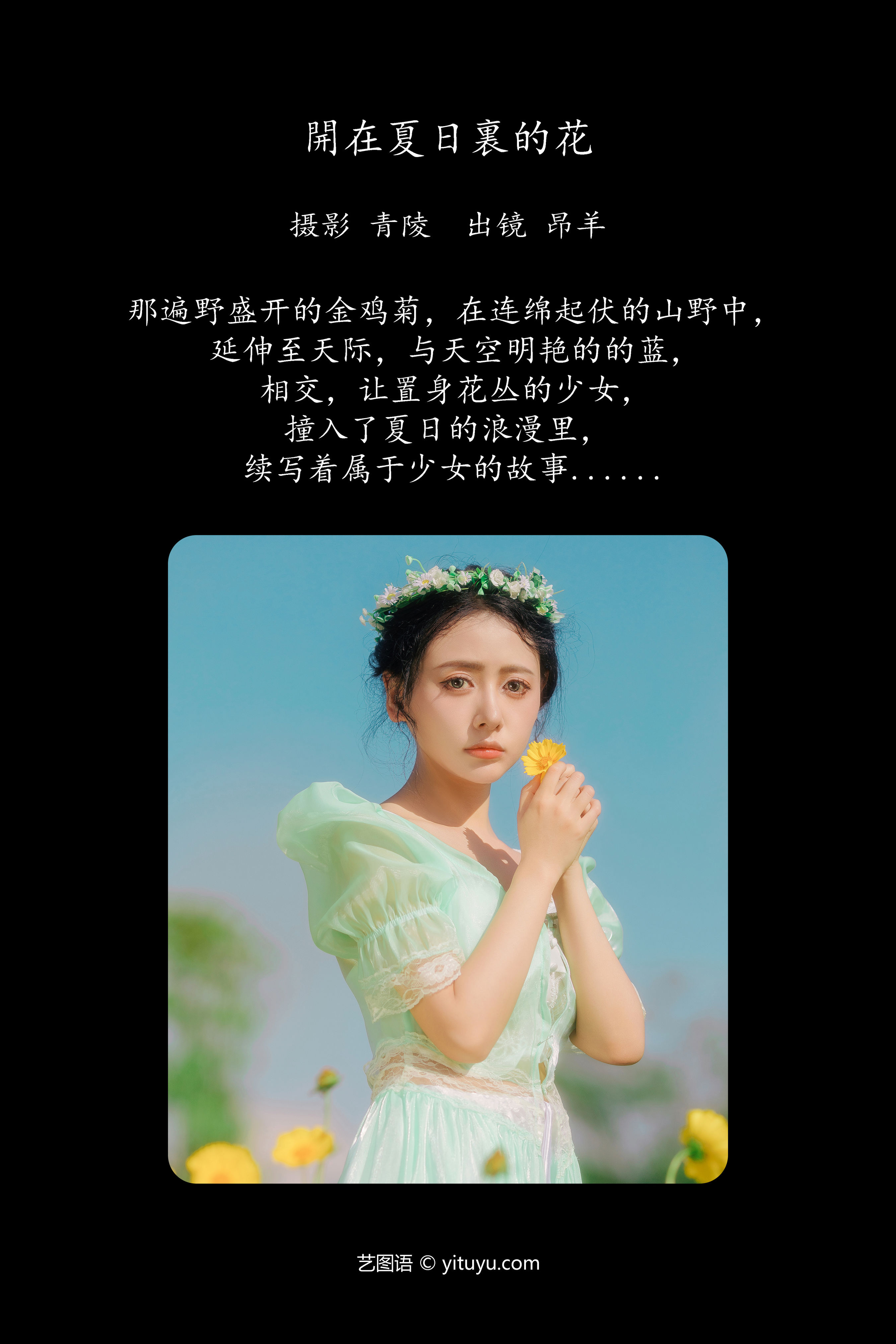 开在夏日里的花 油菜花 精美 文艺 妹子 美丽