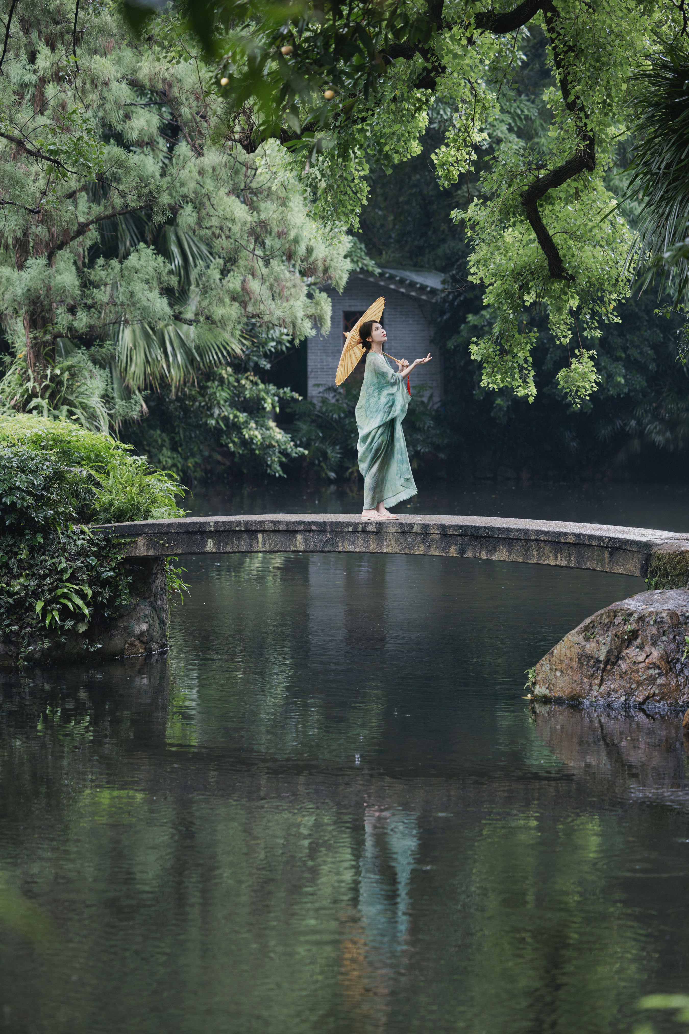 雨天馈赠 下雨天 清冷 江南 意境 优美