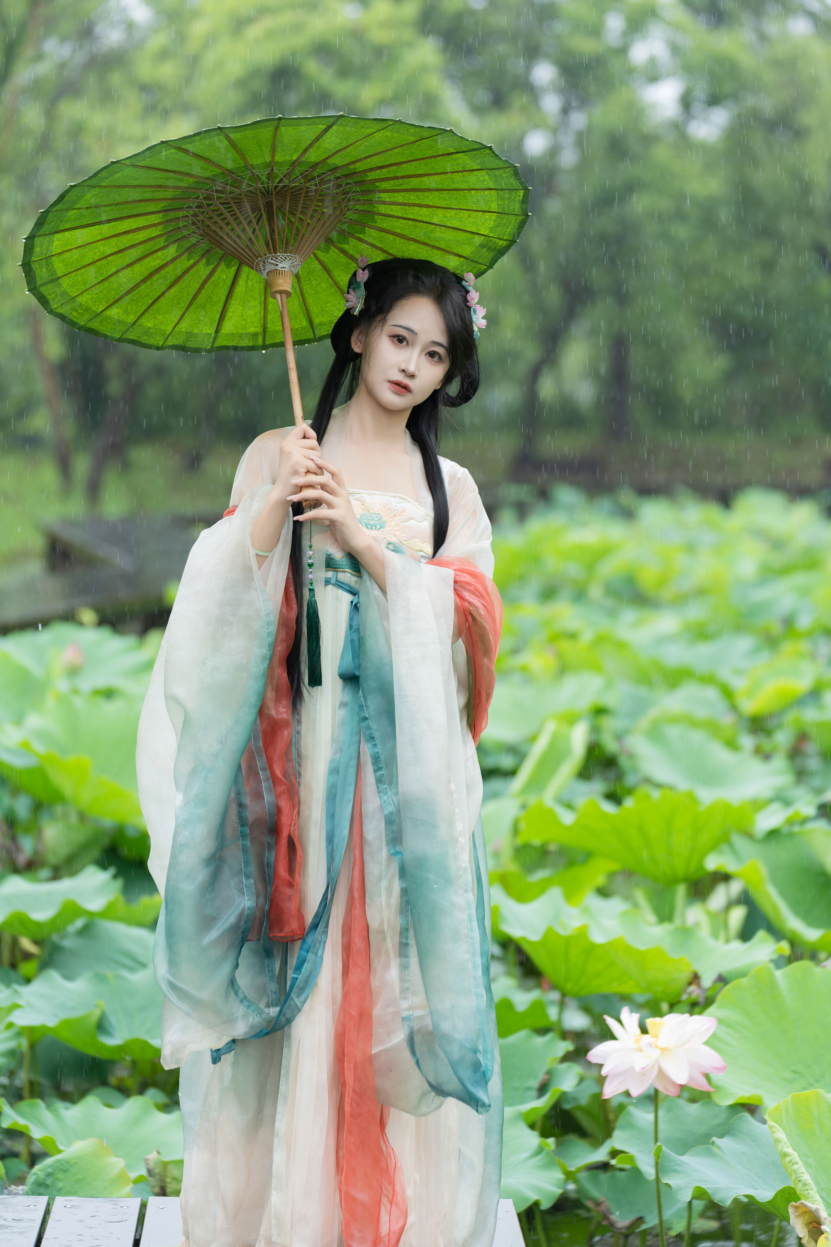 雨中荷花 汉服 荷花 古代 姑娘 下雨天