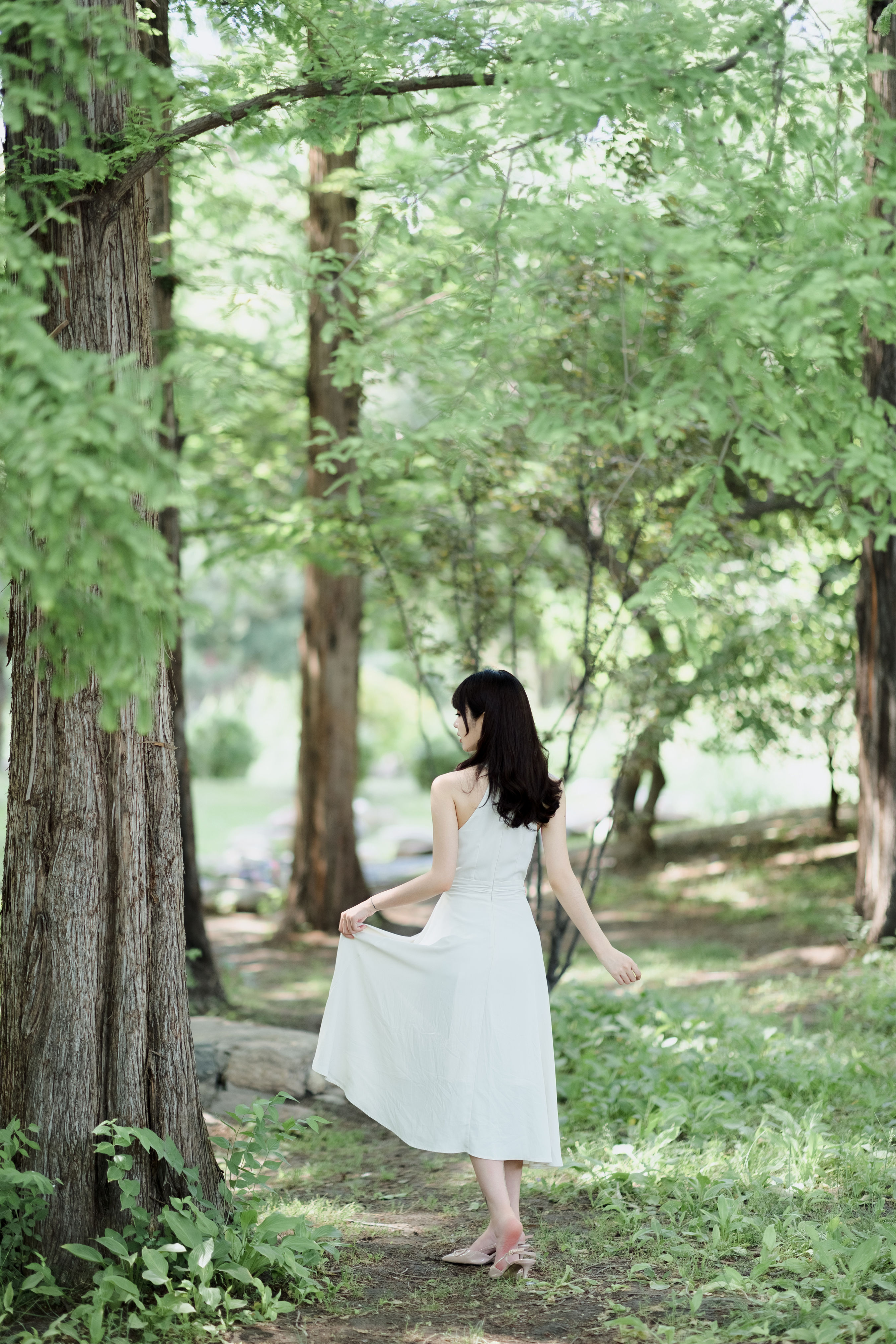 森林中 森系 绿色 小清新 少女 唯美