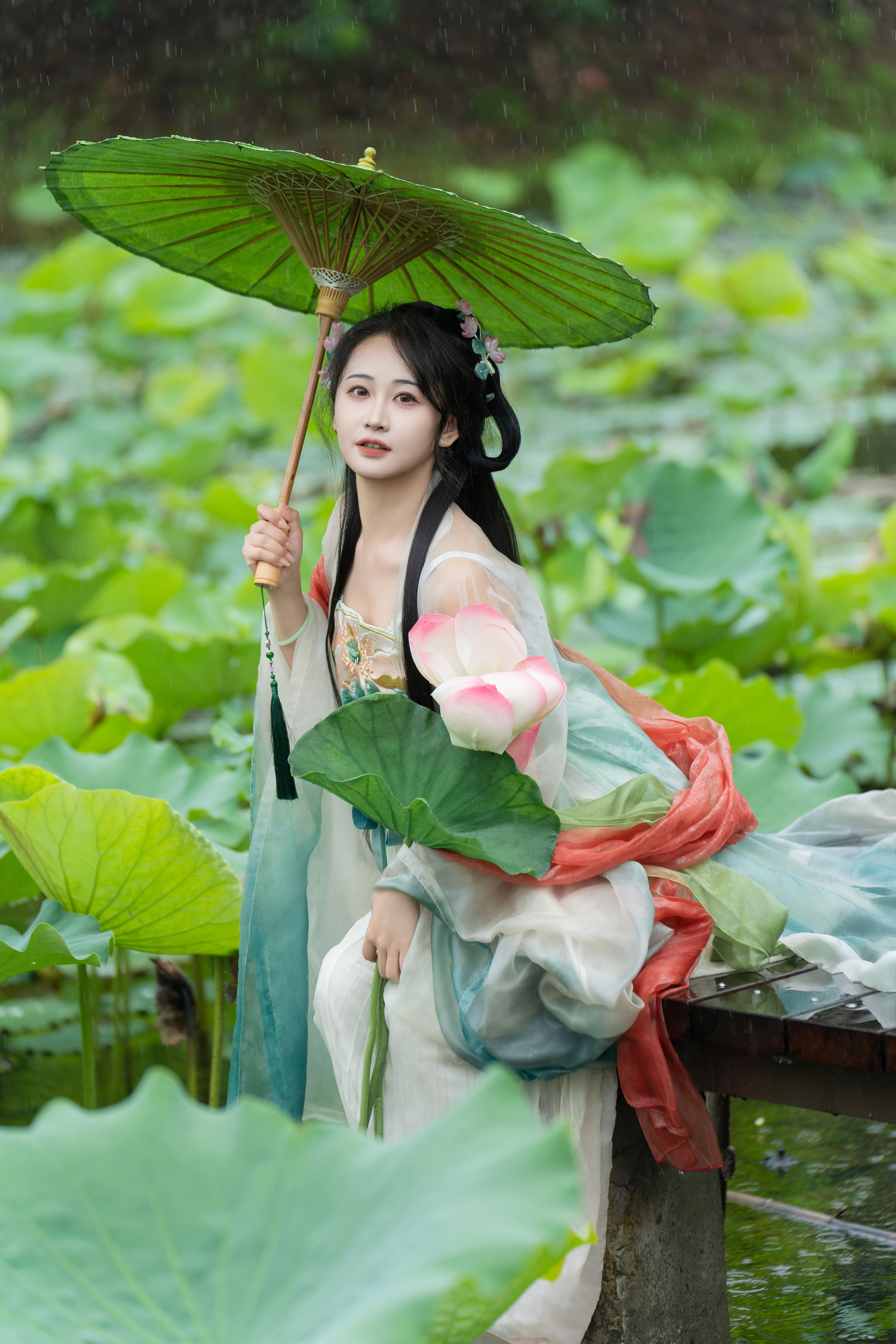 雨中荷花 汉服 荷花 古代 姑娘 下雨天