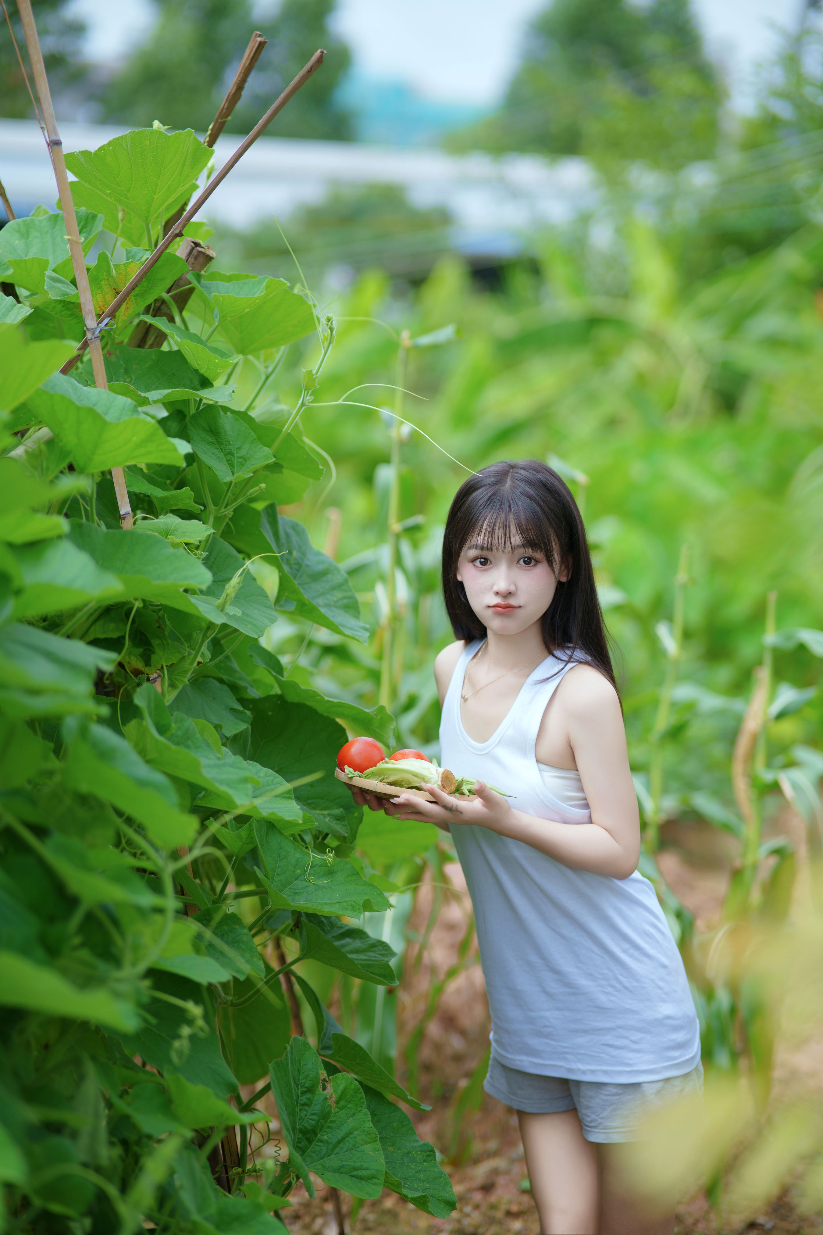 西瓜味的夏天 夏天 少女 性感 写真 养眼