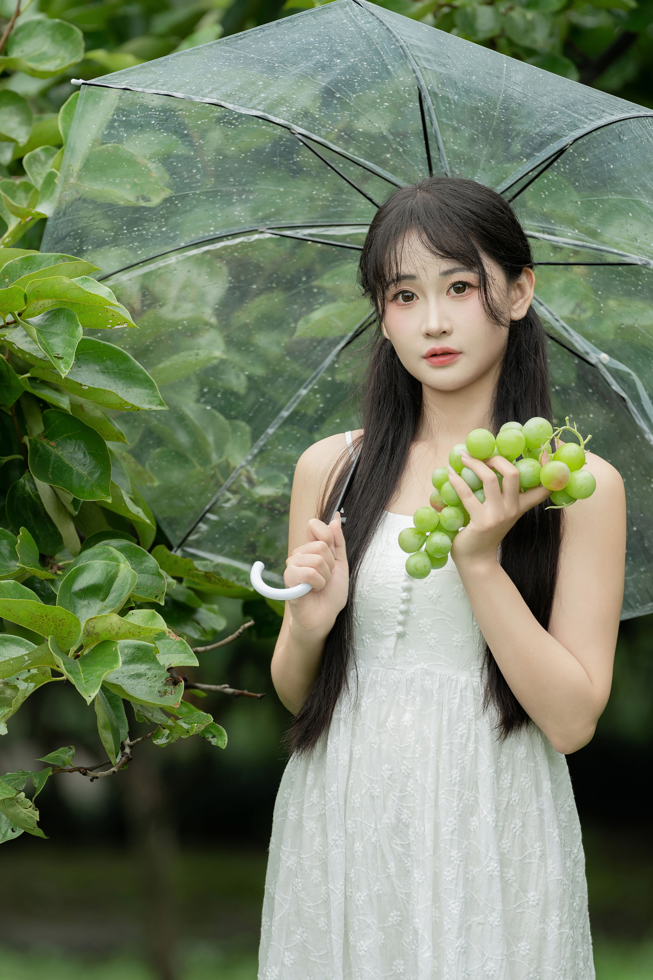 青提夏日 绿色 养眼 森系 夏日 少女