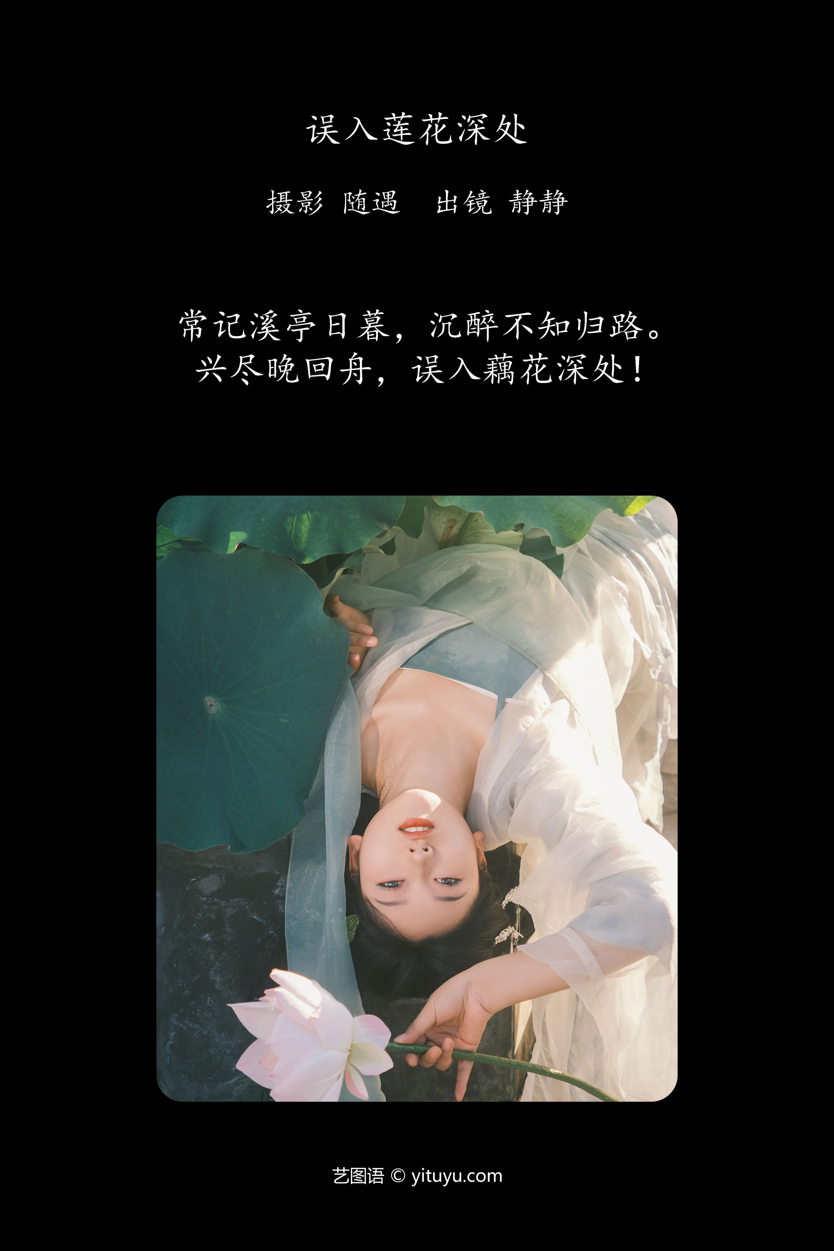 误入莲花深处 莲花 汉服 古装 小姐姐 绿色