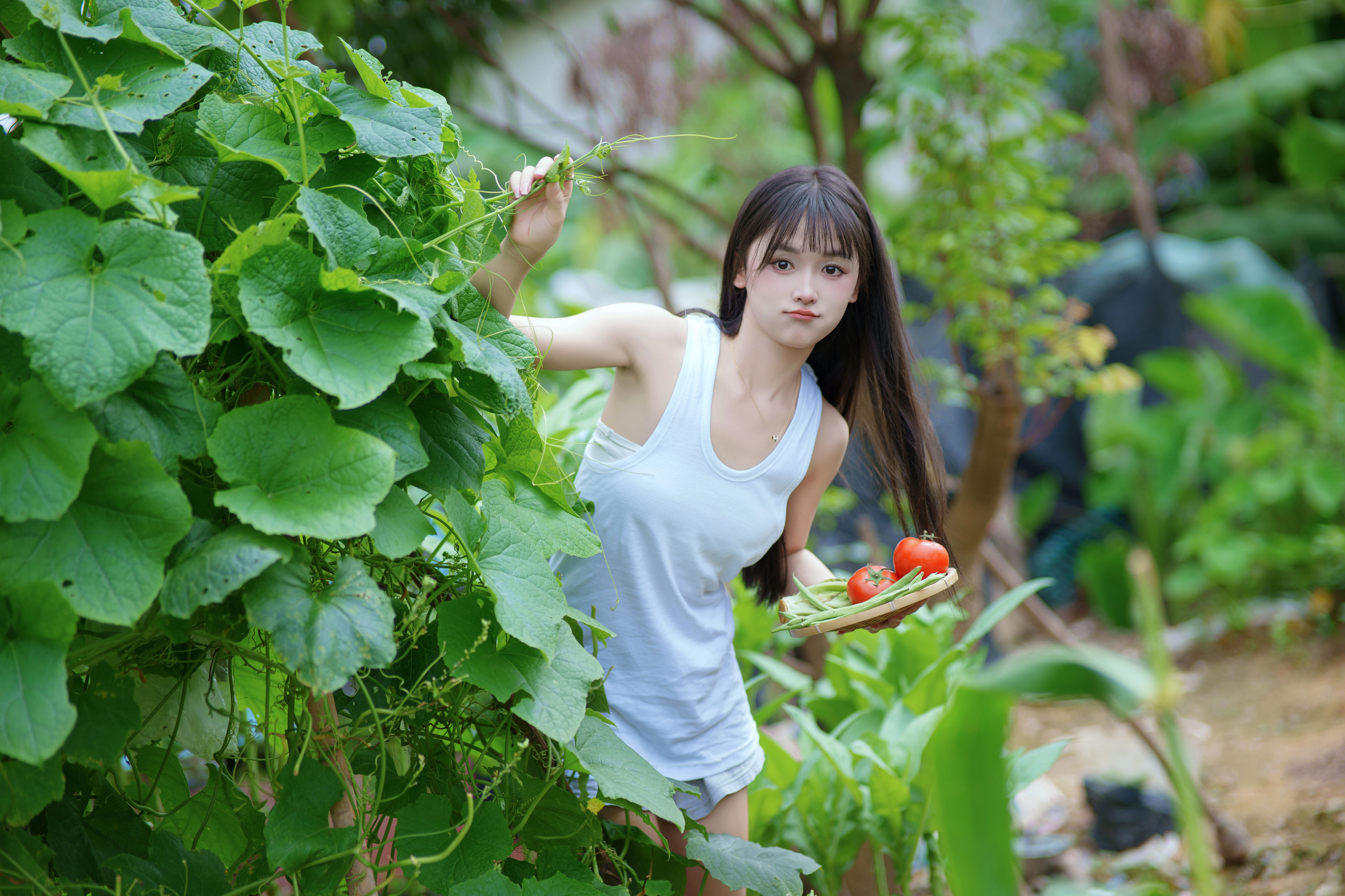 西瓜味的夏天 夏天 少女 性感 写真 养眼