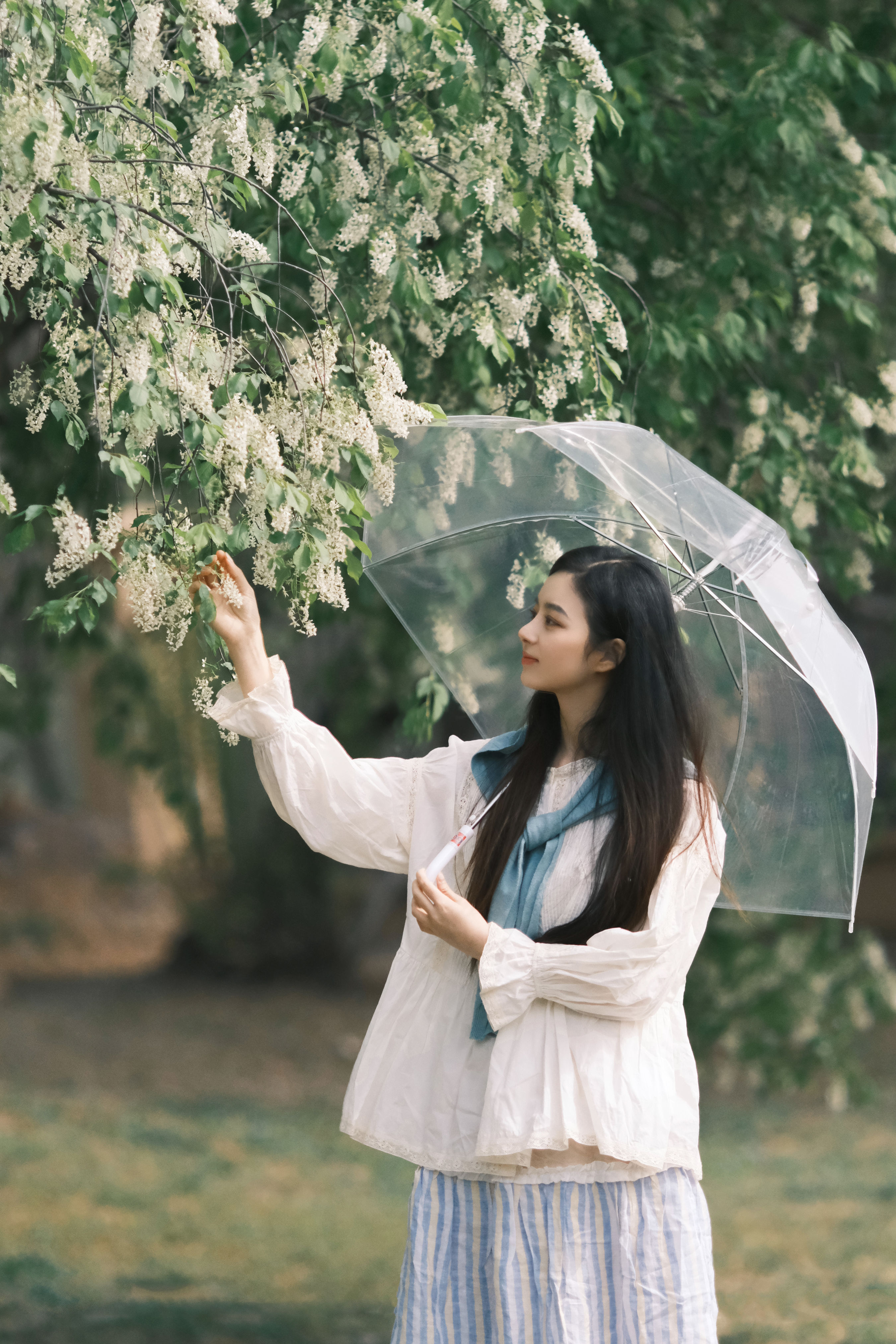 会见面的 清纯 小清新 治愈系 写真 美女