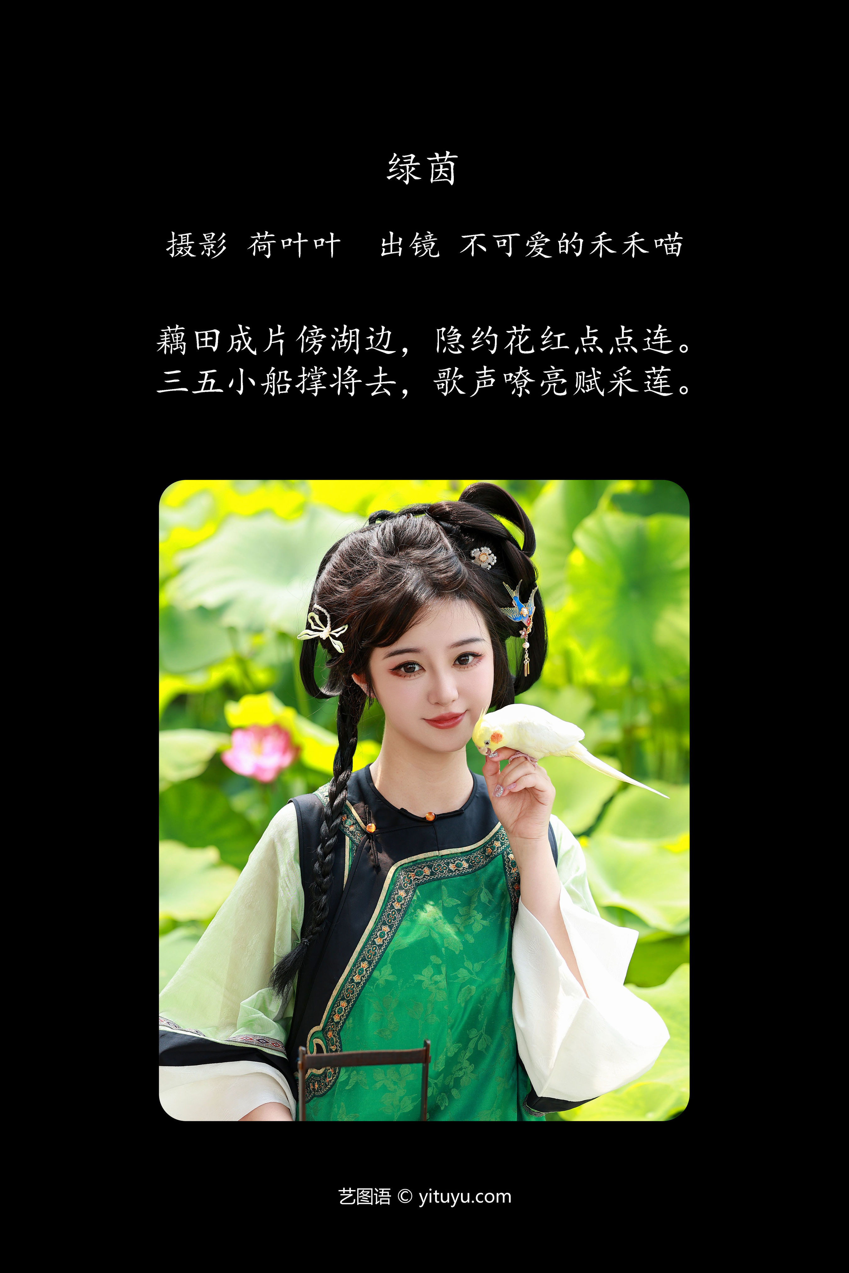 绿茵 绿色 荷花 古代 姑娘 可爱