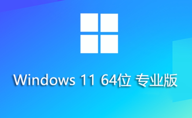 Win11 23H2 64位专业精简版安装方法：从准备到完成全流程 